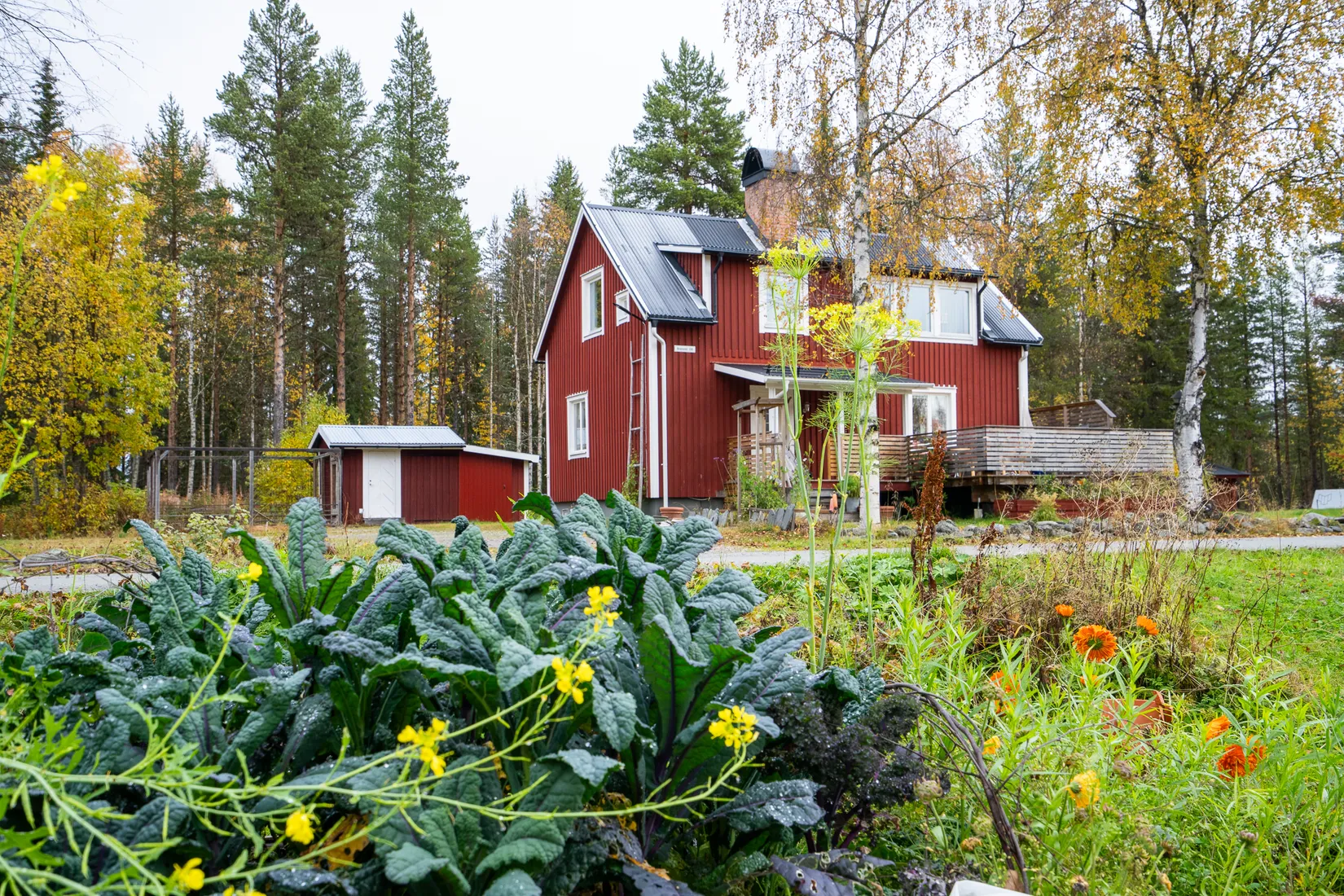 Gård/Skog, Avasund 106, Storuman