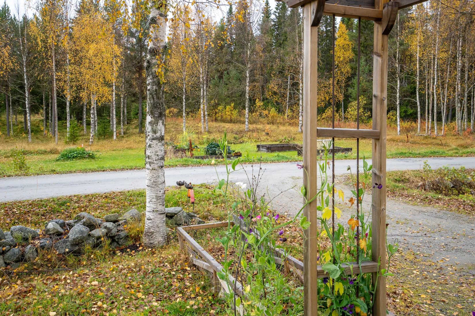 Gård/Skog, Avasund 106, Storuman