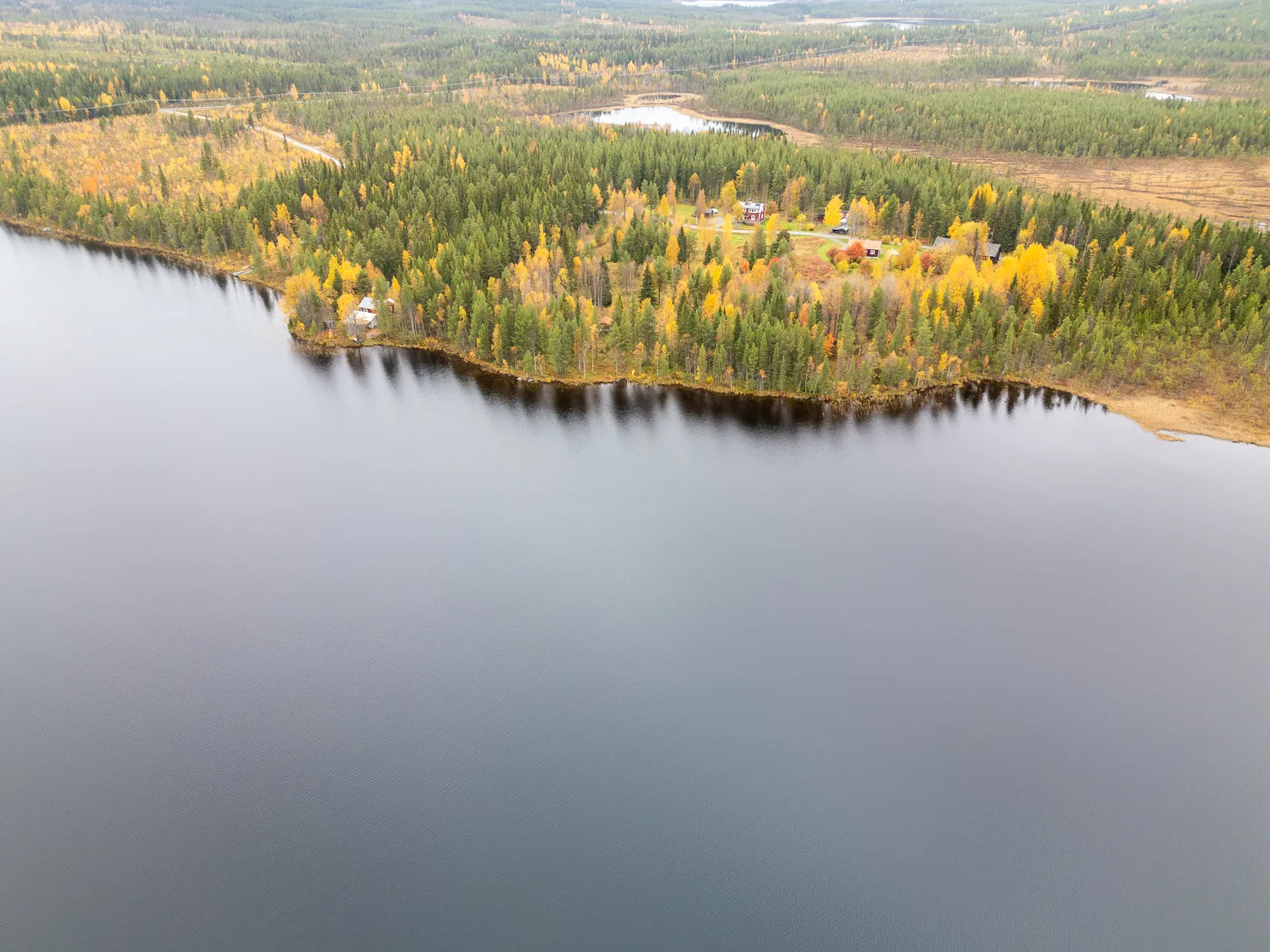 Gård/Skog, Avasund 106, Storuman