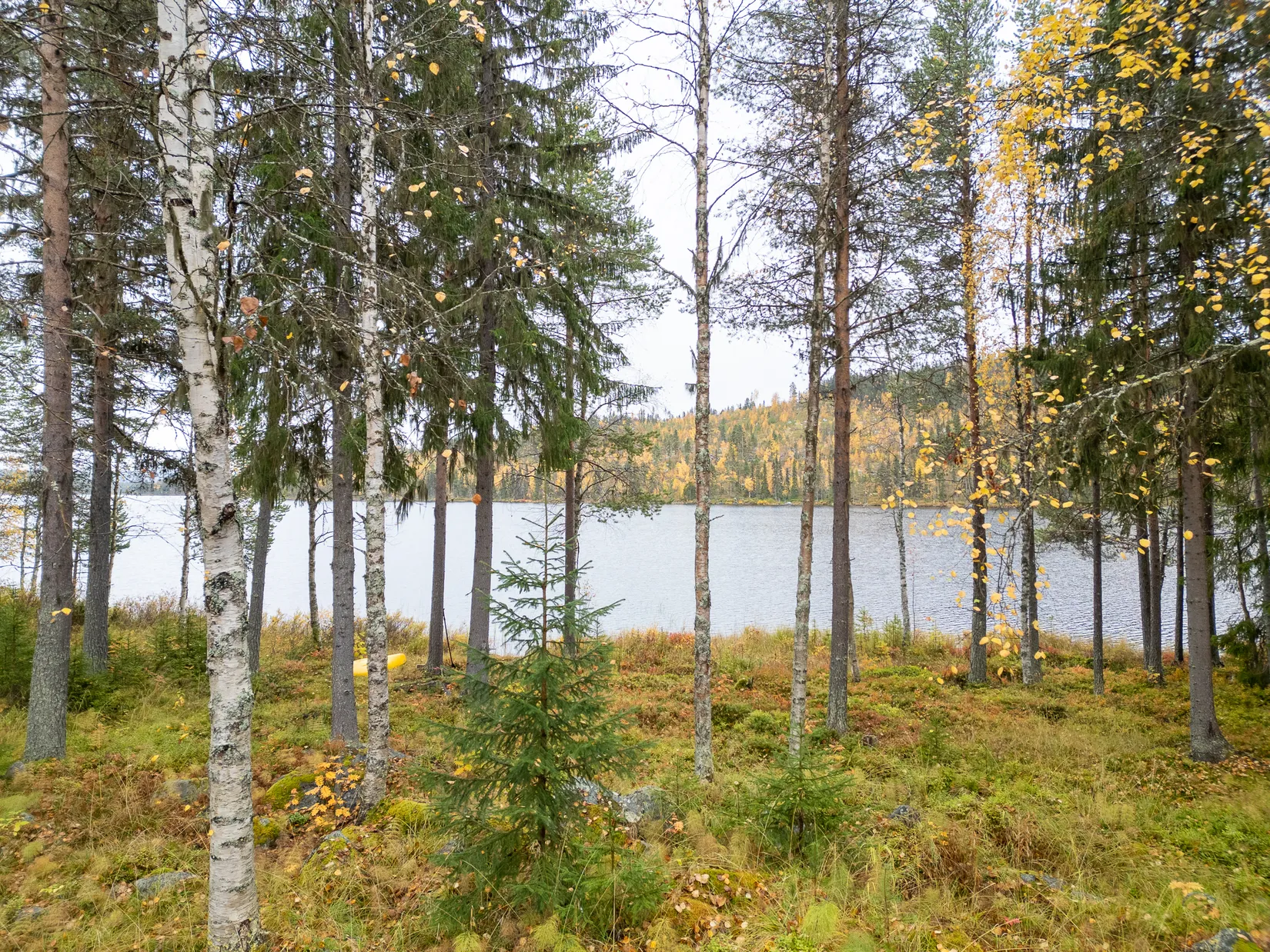 Gård/Skog, Avasund 106, Storuman