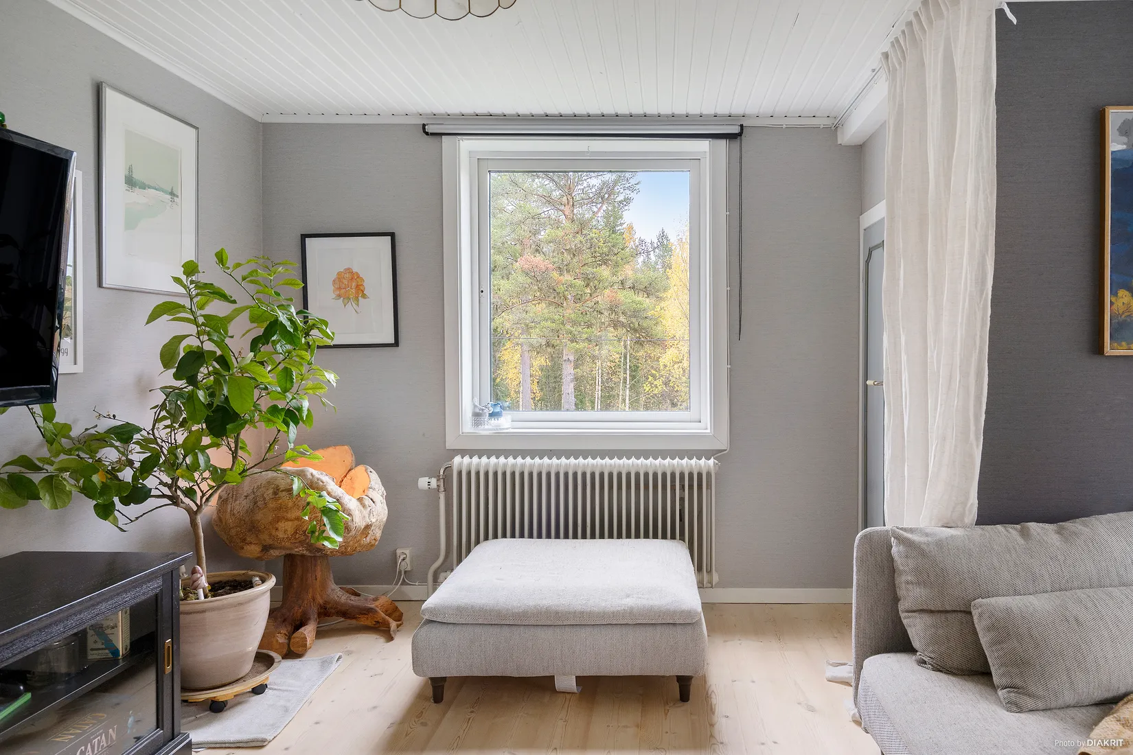 Gård/Skog, Avasund 106, Storuman