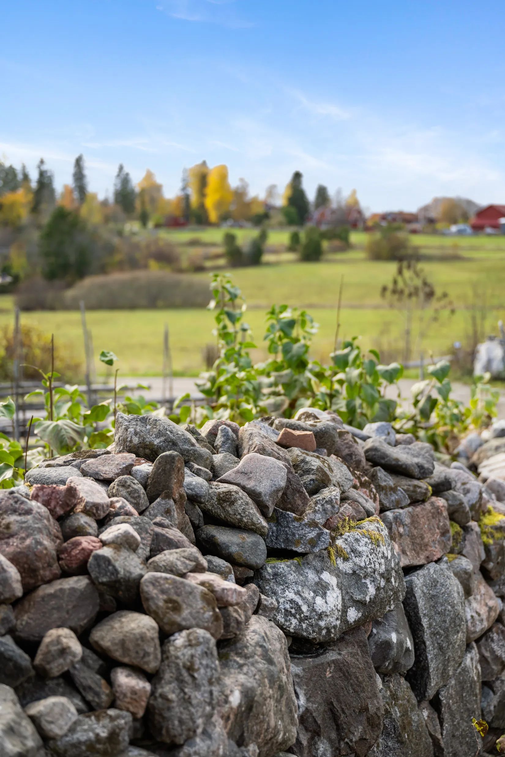 Fritidshus, Östervik 6, Bergshamra - Östervik, Norrtälje