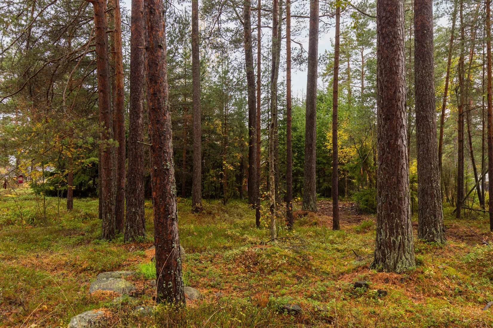 Fritidshus, Mårövägen 14B, Kristinehamn