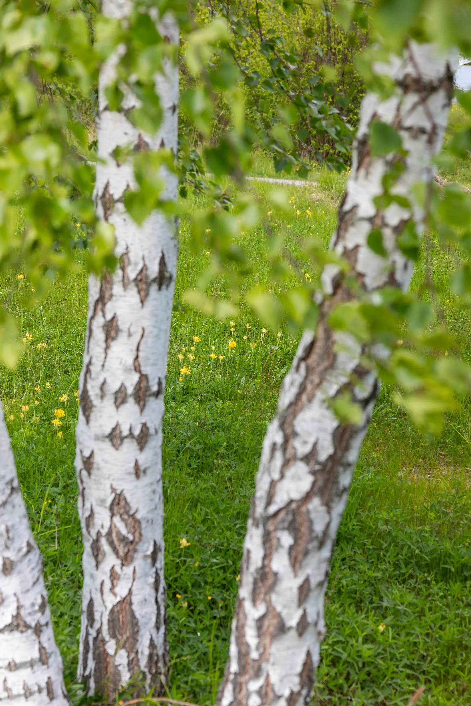 Fritidshus, Gräskö norra ängsvägen 30, Gräskö, Norrtälje