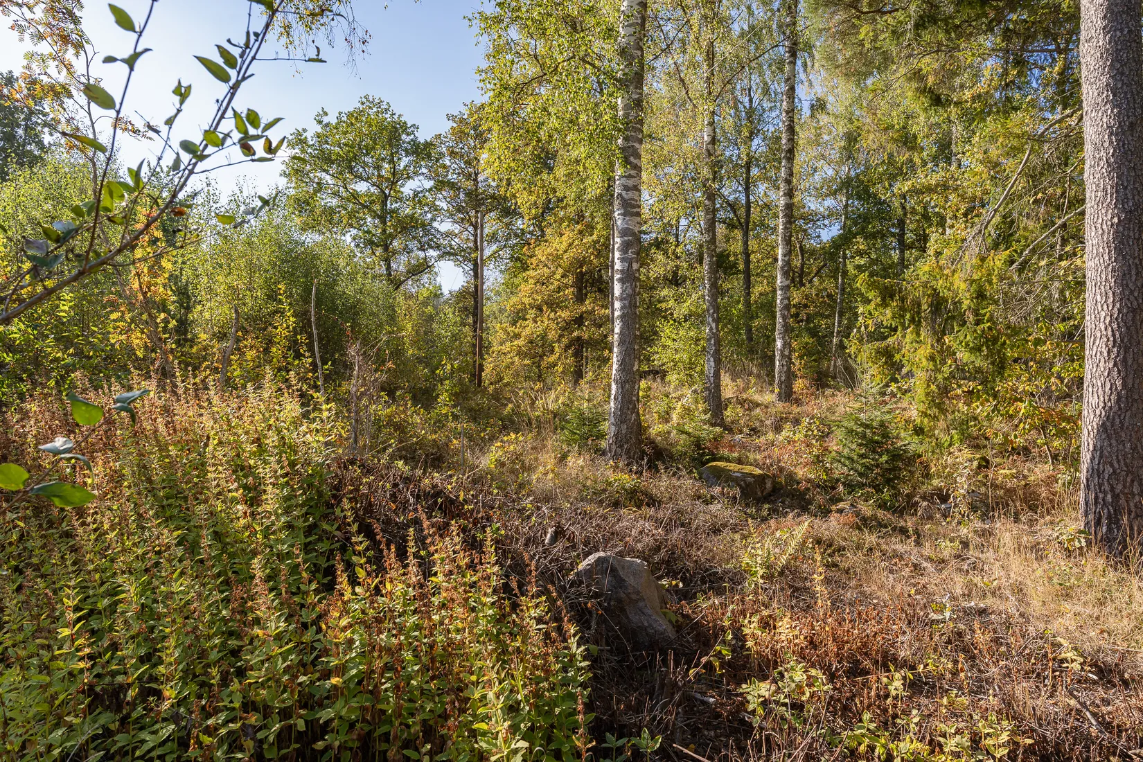 Tomt, Hagby 3, Hällbybrunn, Eskilstuna