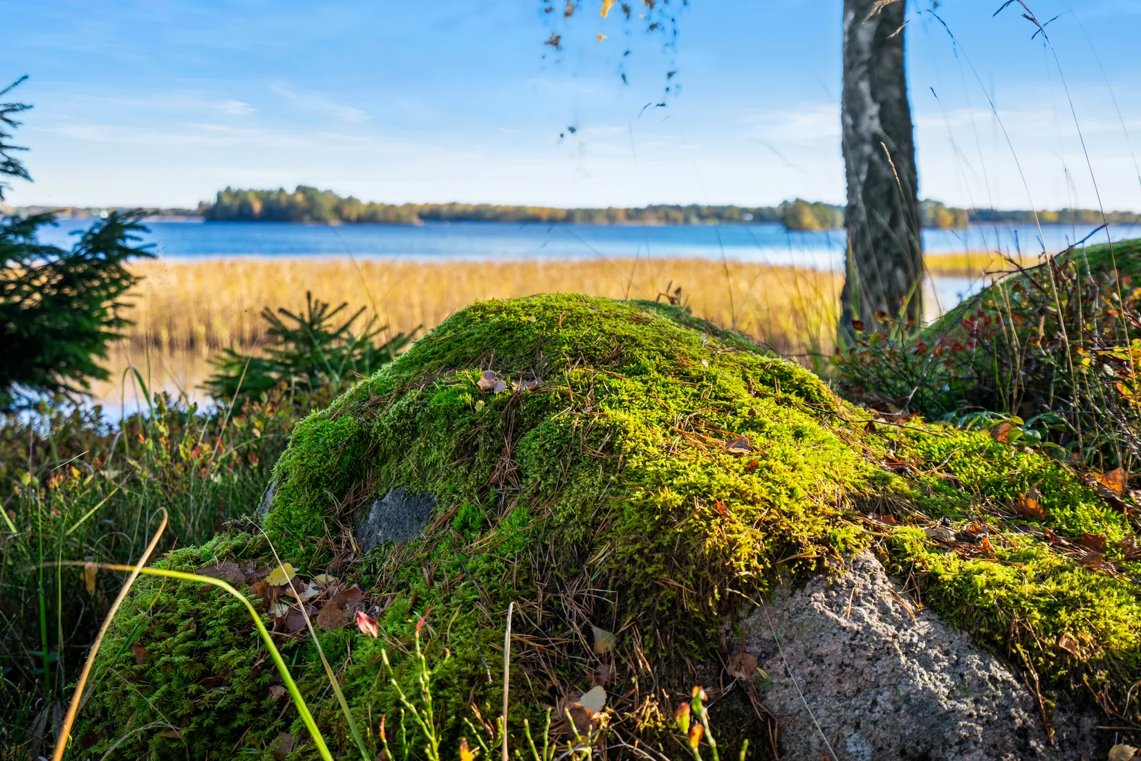 Villa, Vaberget Sjönäs 62, Sjönäs, Karlsborg