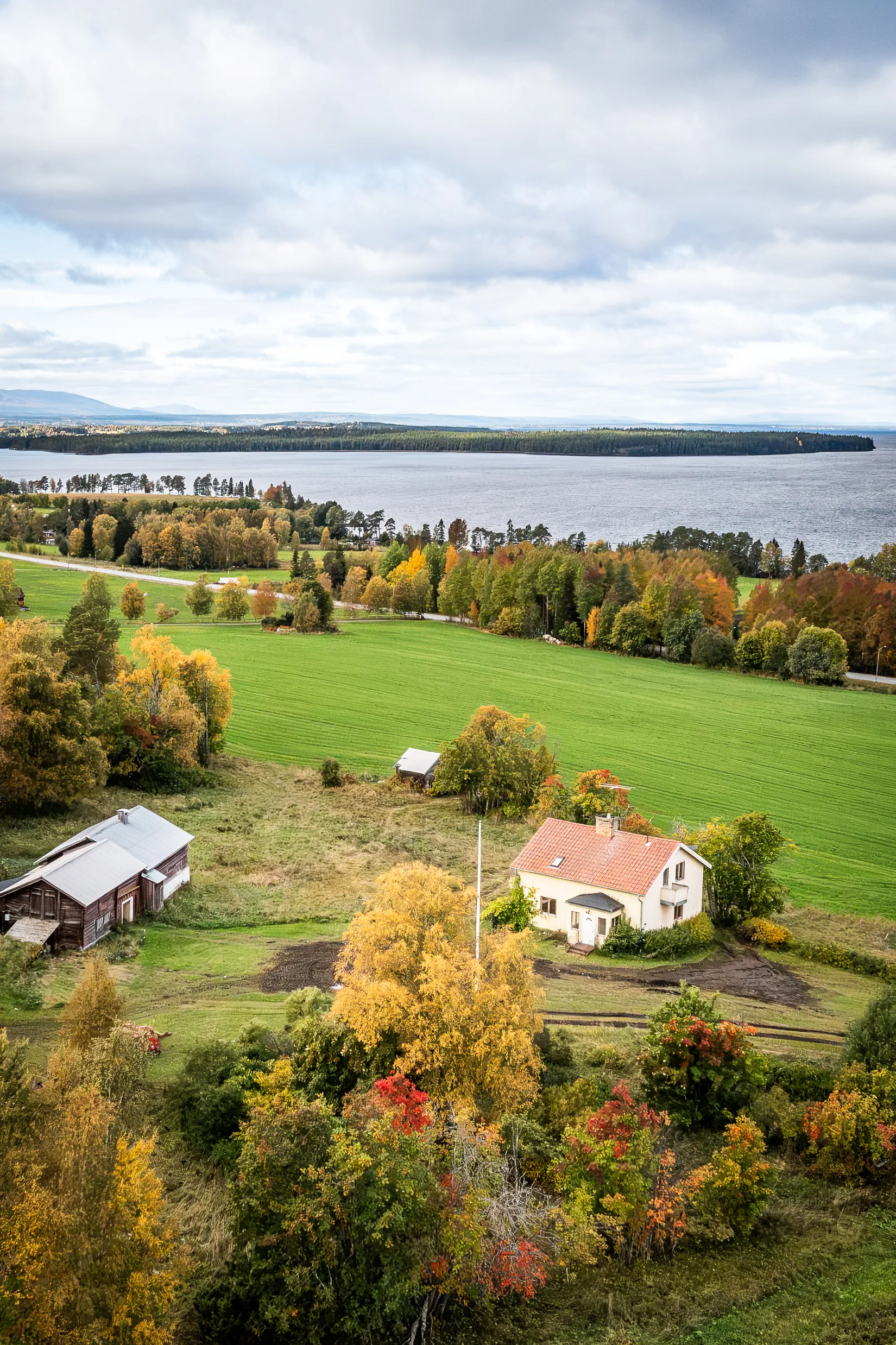 Gård/Skog, Målsta 205, Annersia, Östersund