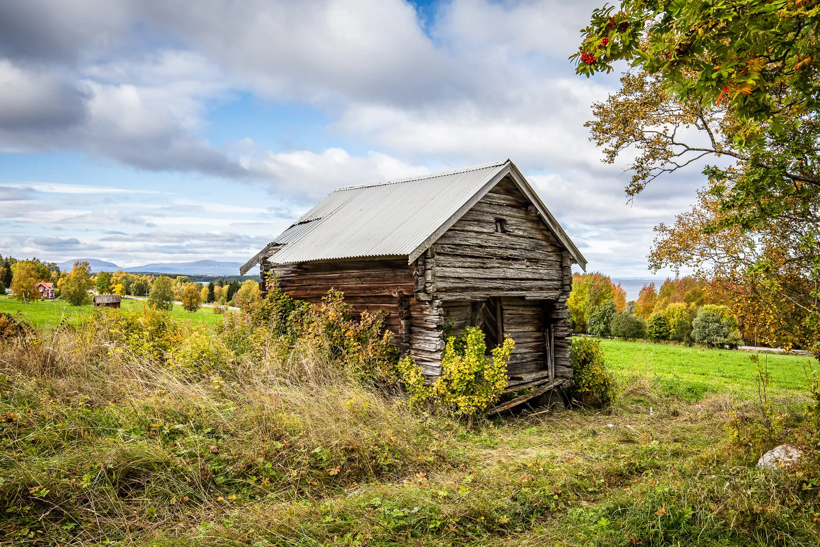 Gård/Skog, Målsta 205, Annersia, Östersund