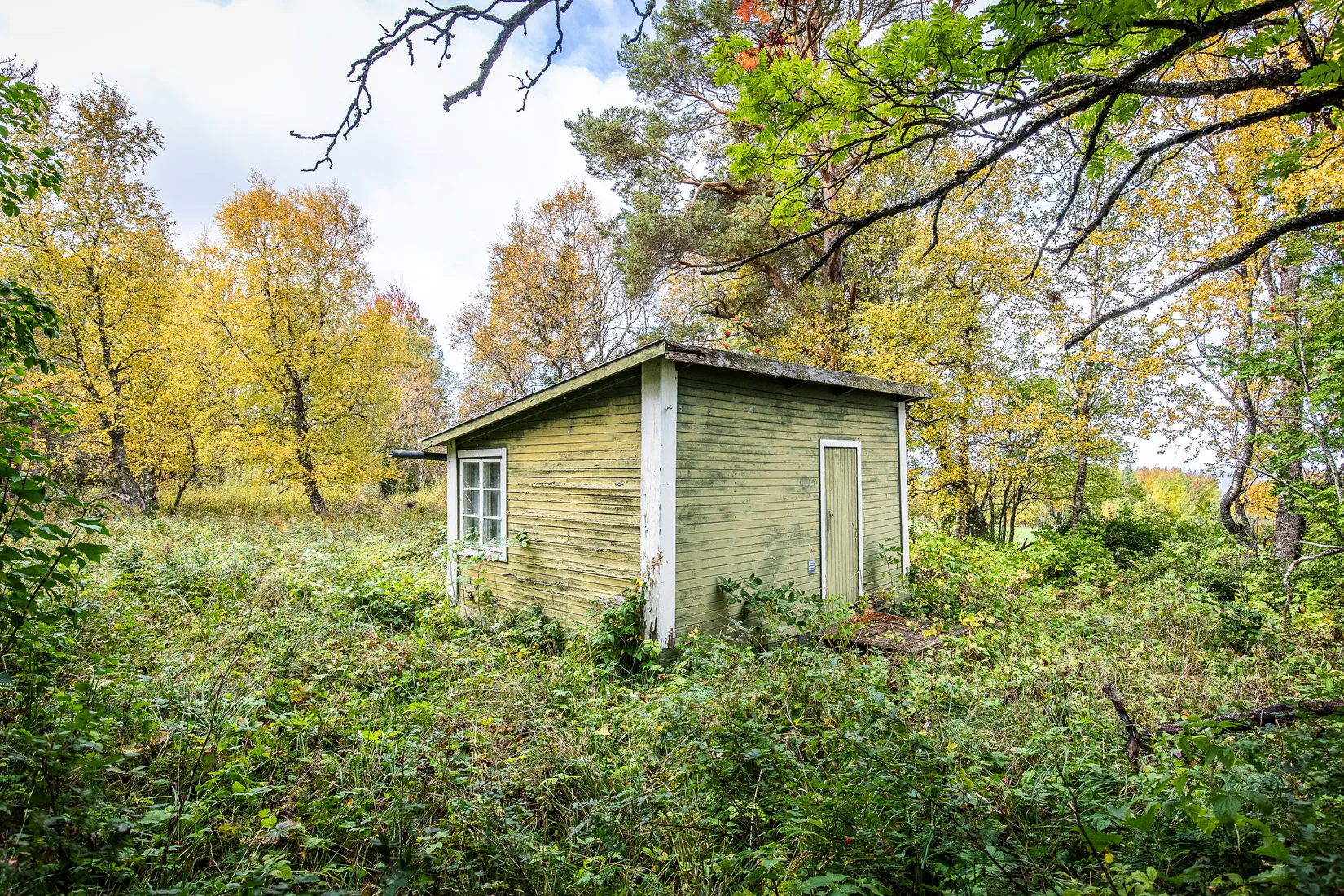 Gård/Skog, Målsta 205, Annersia, Östersund