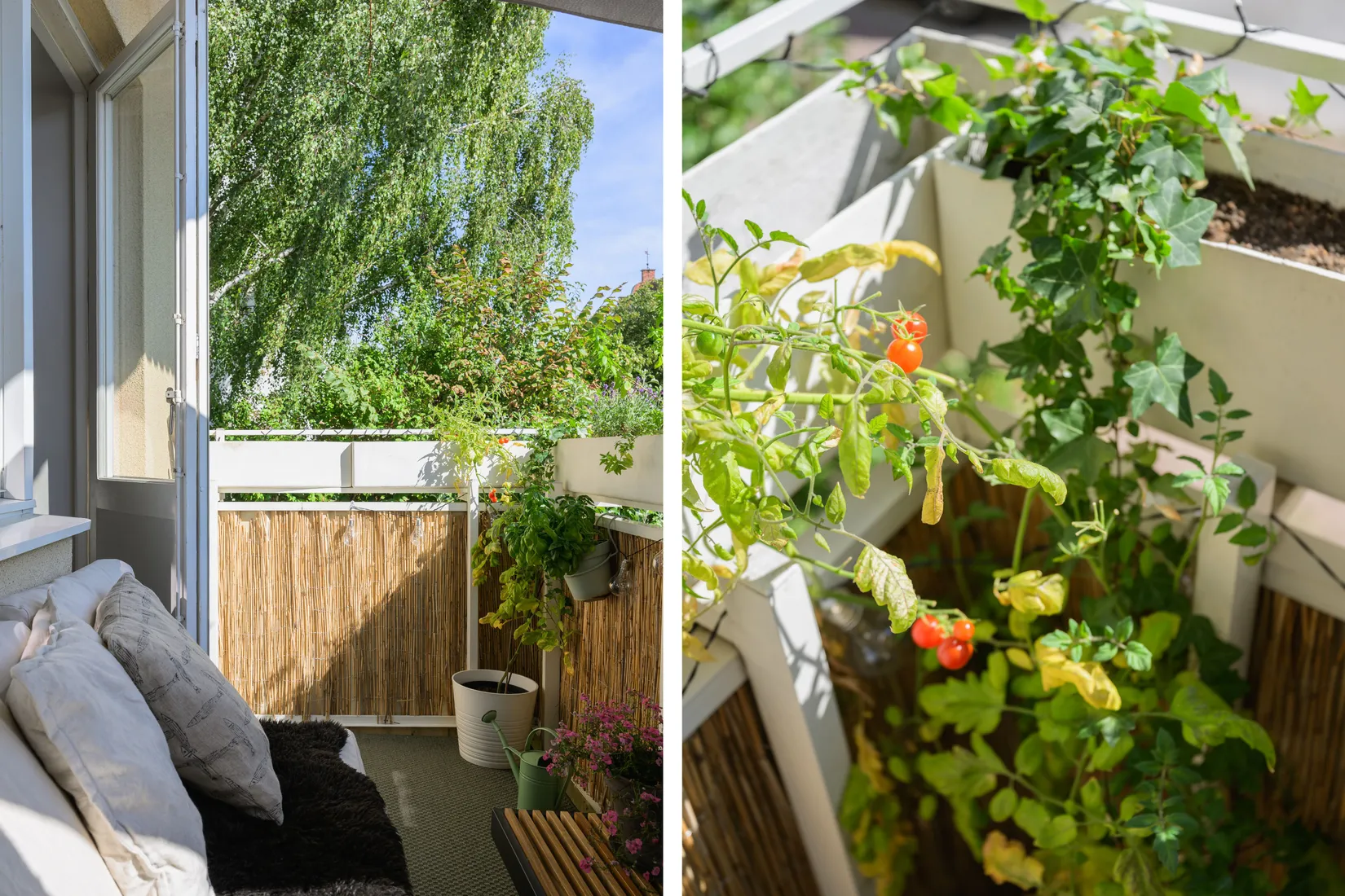 Bostadsrätt, Ingelstadsgatan 4, Slottsstaden, Malmö