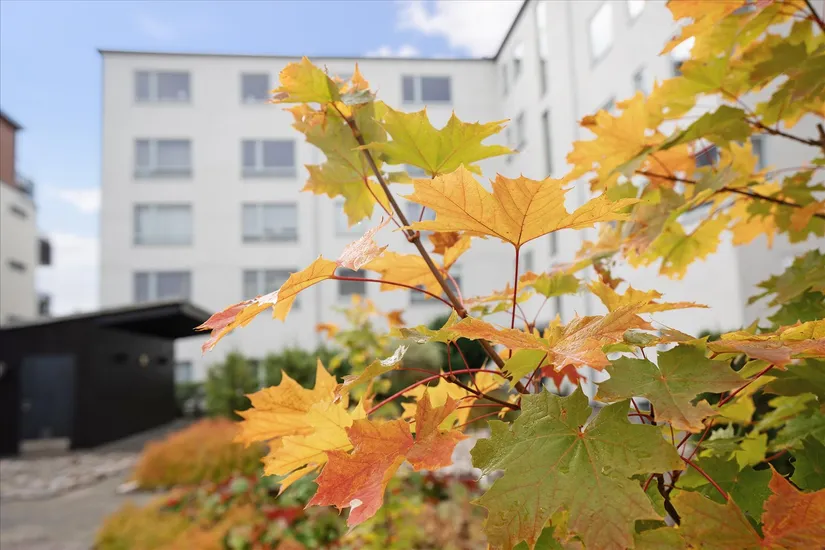 Bostadsrätt, Ytterby torg 13, Kungälv