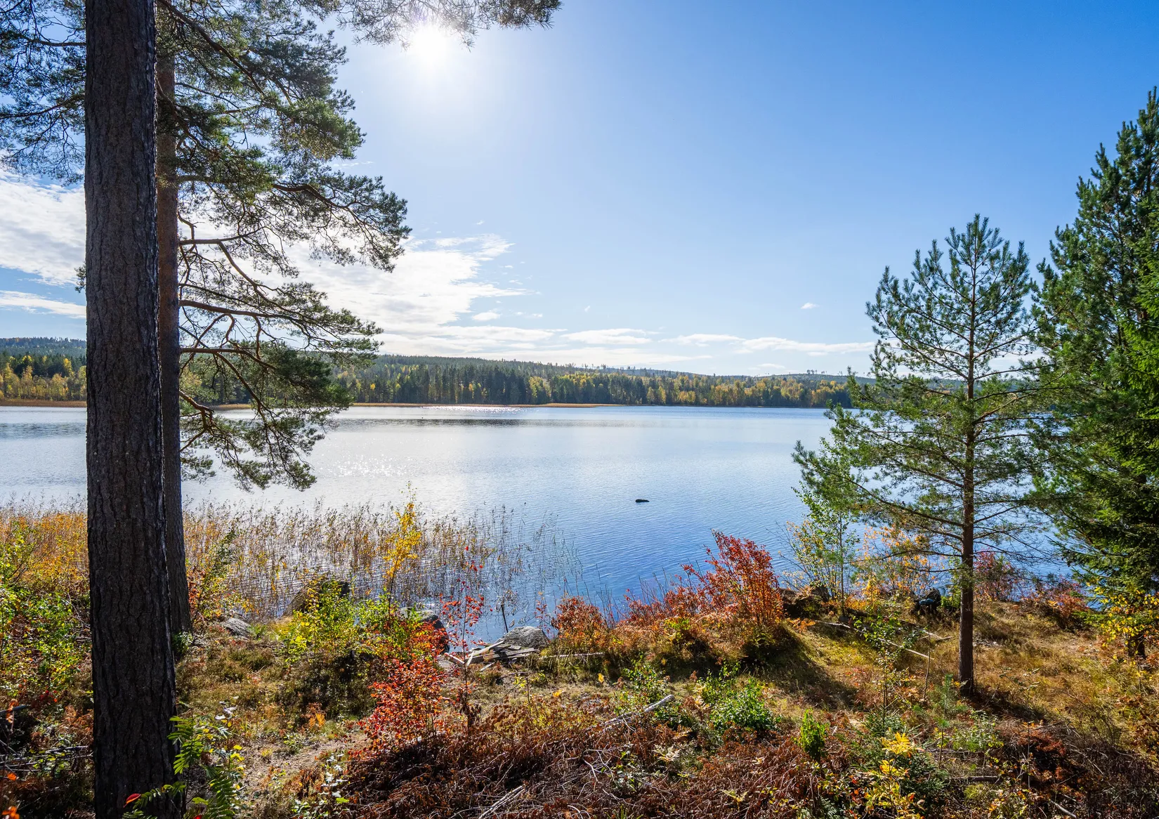 Villa, Hyttbacksvägen 3, Hofors