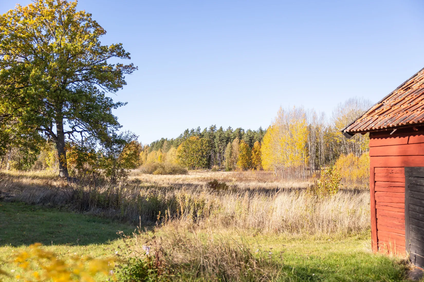 Gård/Skog, Tuskö 434, Söderön, Östhammar