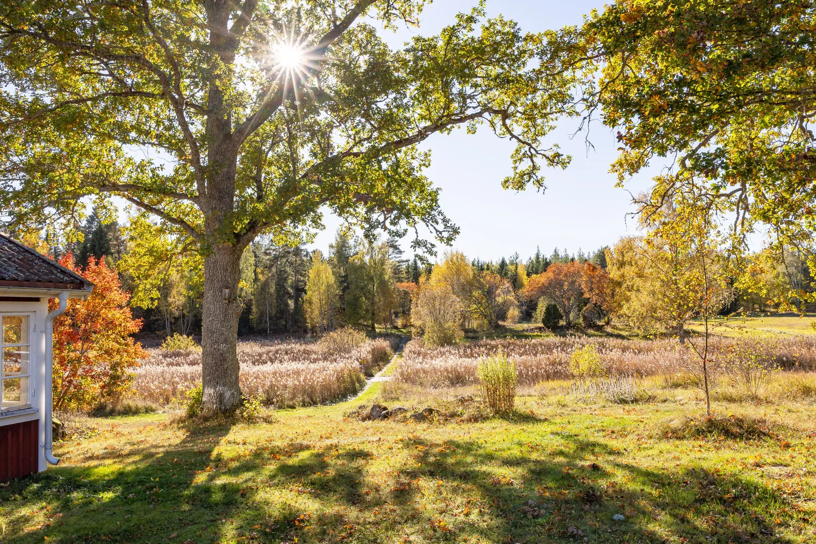Gård/Skog, Tuskö 434, Söderön, Östhammar