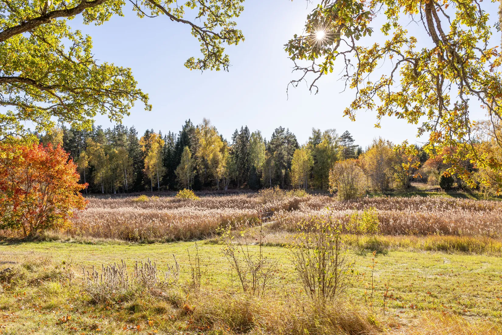 Gård/Skog, Tuskö 434, Söderön, Östhammar