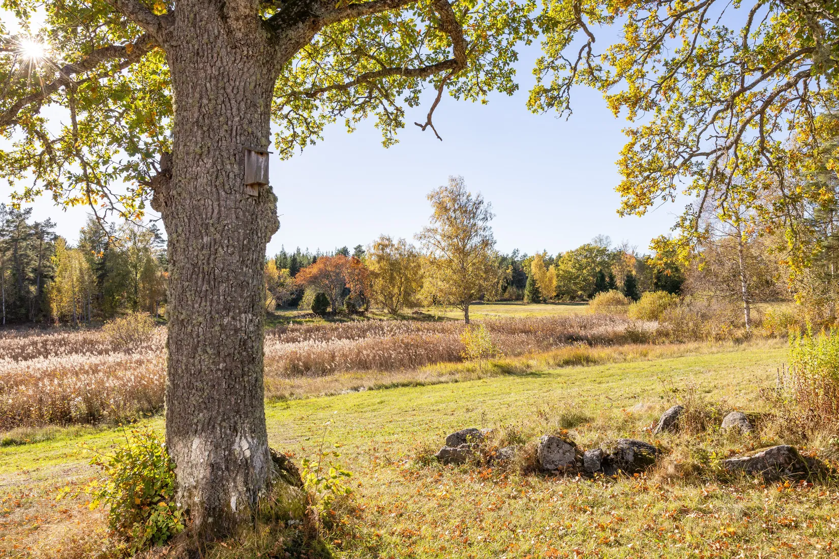 Gård/Skog, Tuskö 434, Söderön, Östhammar