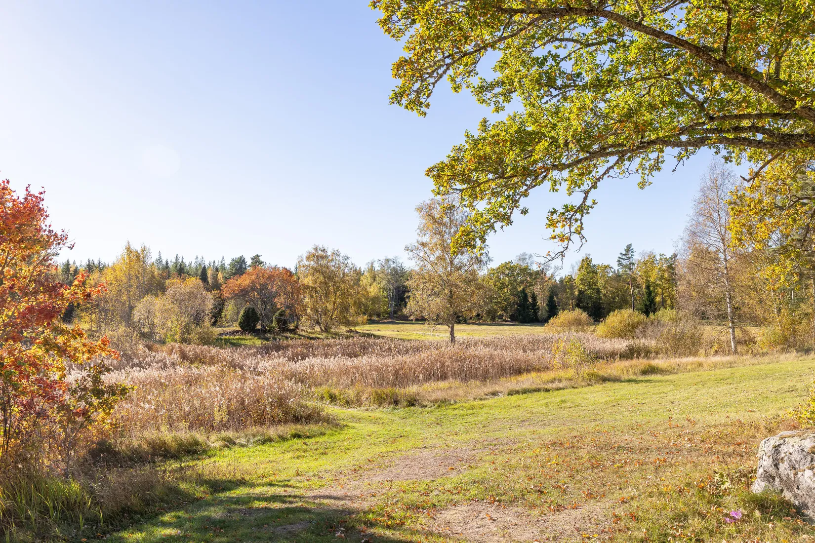 Gård/Skog, Tuskö 434, Söderön, Östhammar