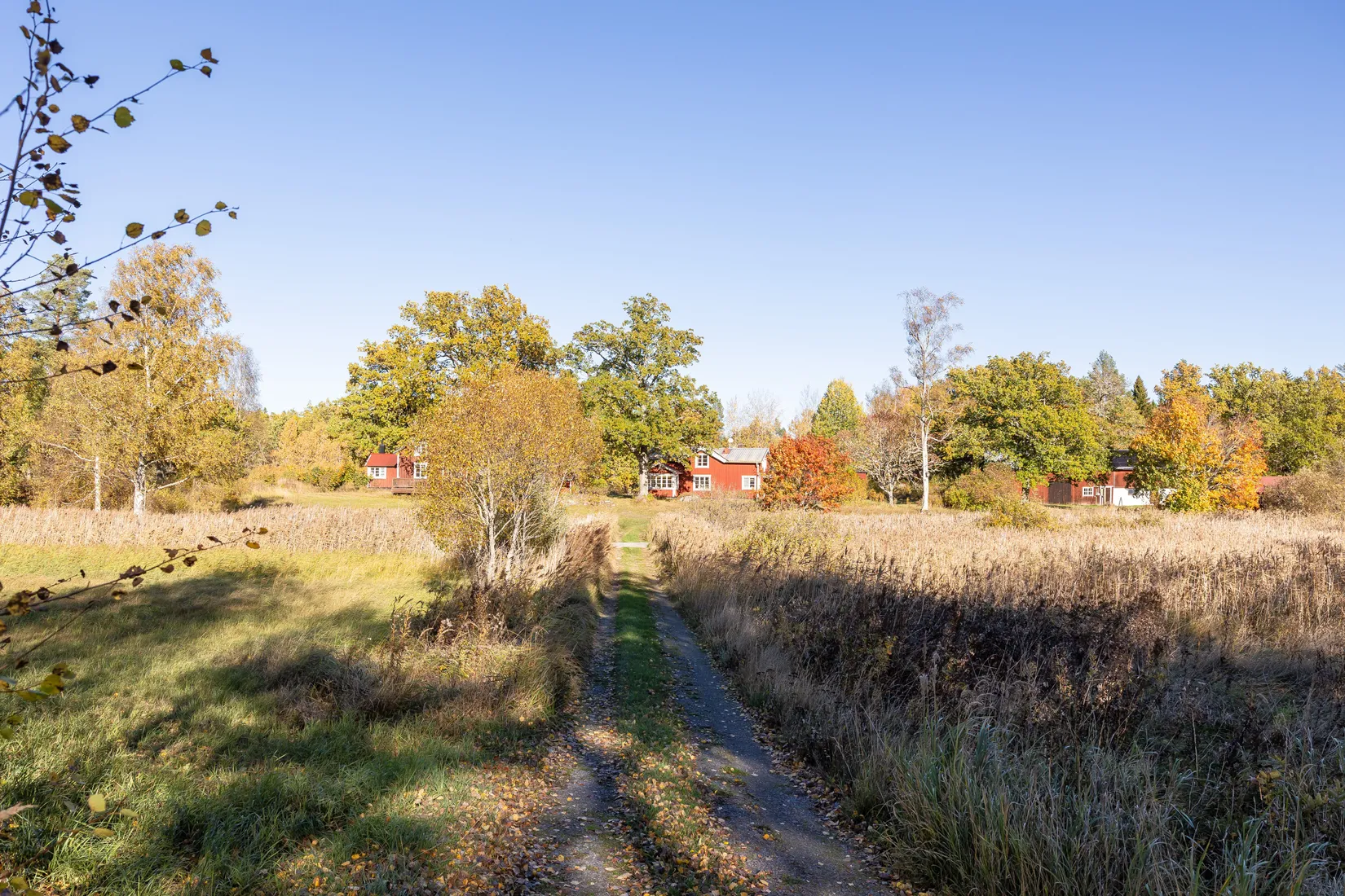 Gård/Skog, Tuskö 434, Söderön, Östhammar