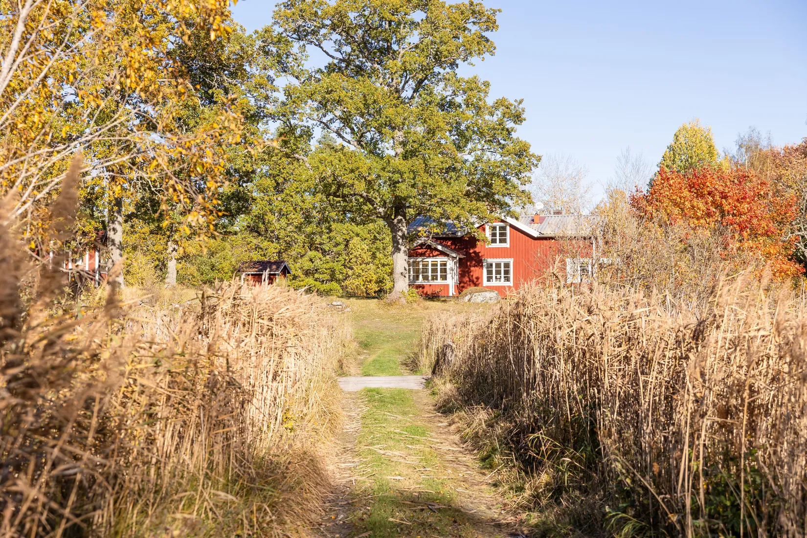 Gård/Skog, Tuskö 434, Söderön, Östhammar