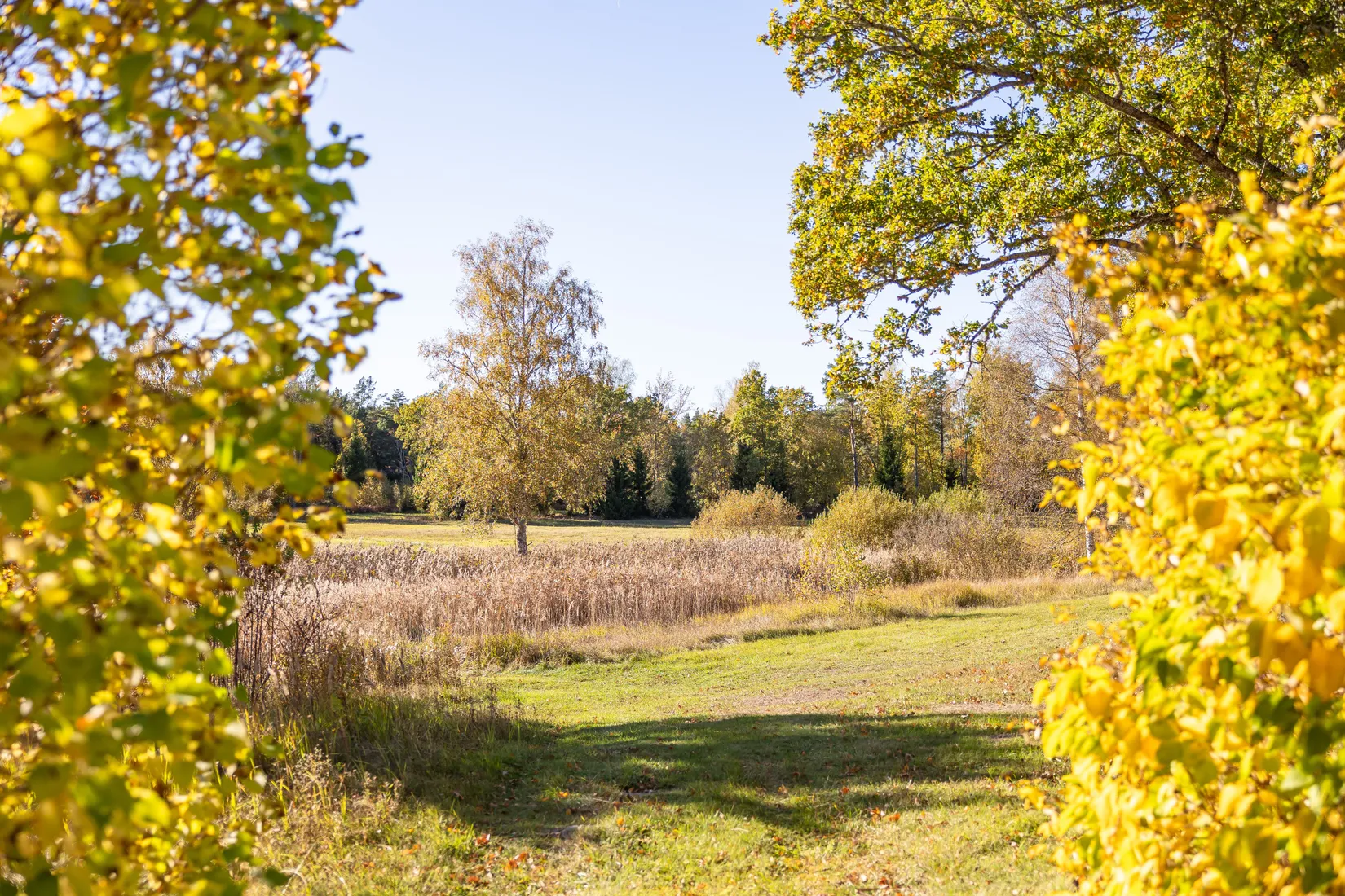 Gård/Skog, Tuskö 434, Söderön, Östhammar