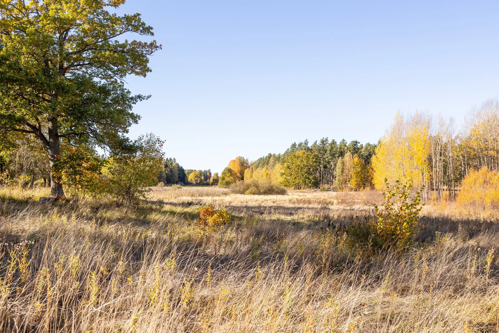 Gård/Skog, Tuskö 434, Söderön, Östhammar