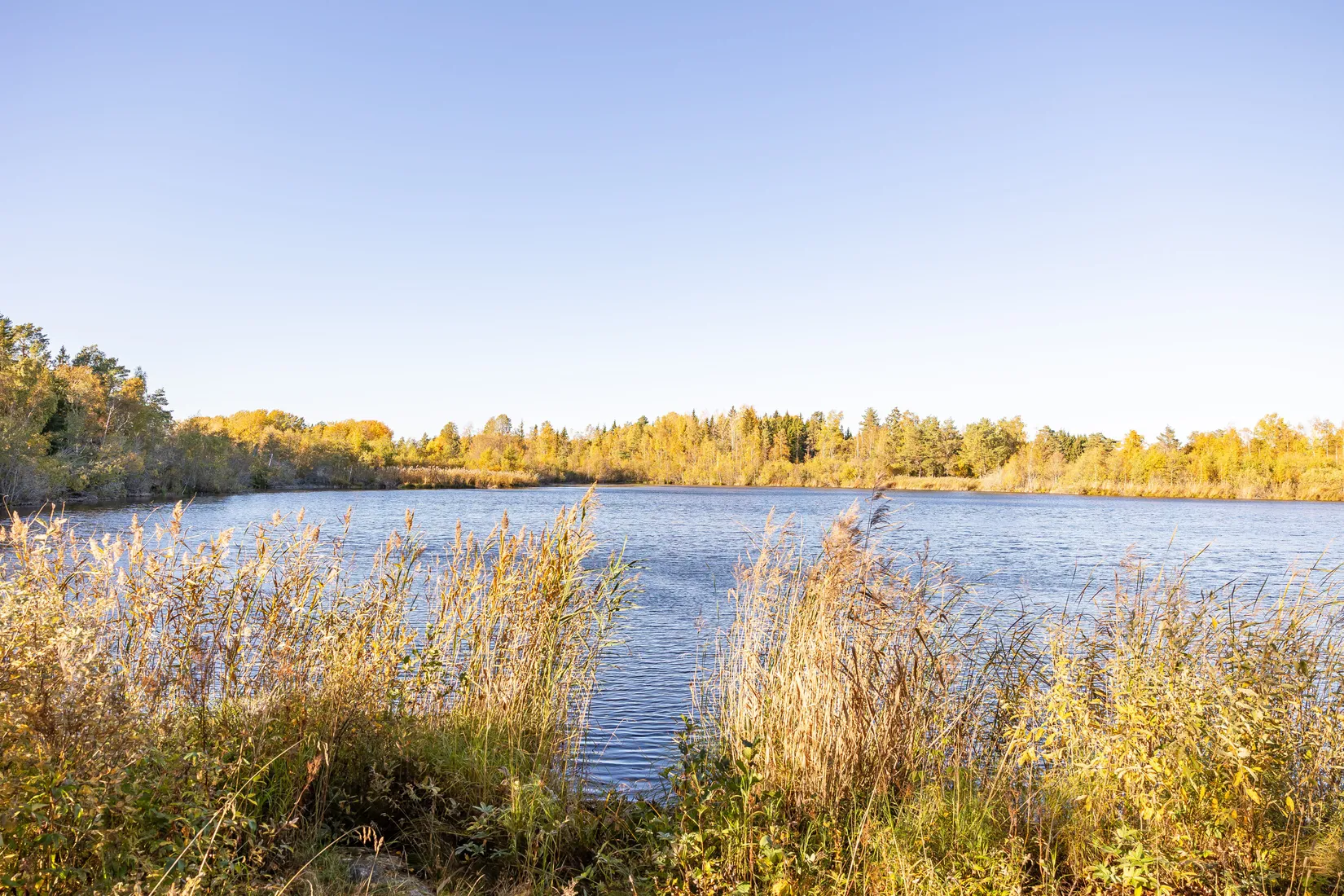 Gård/Skog, Tuskö 434, Söderön, Östhammar
