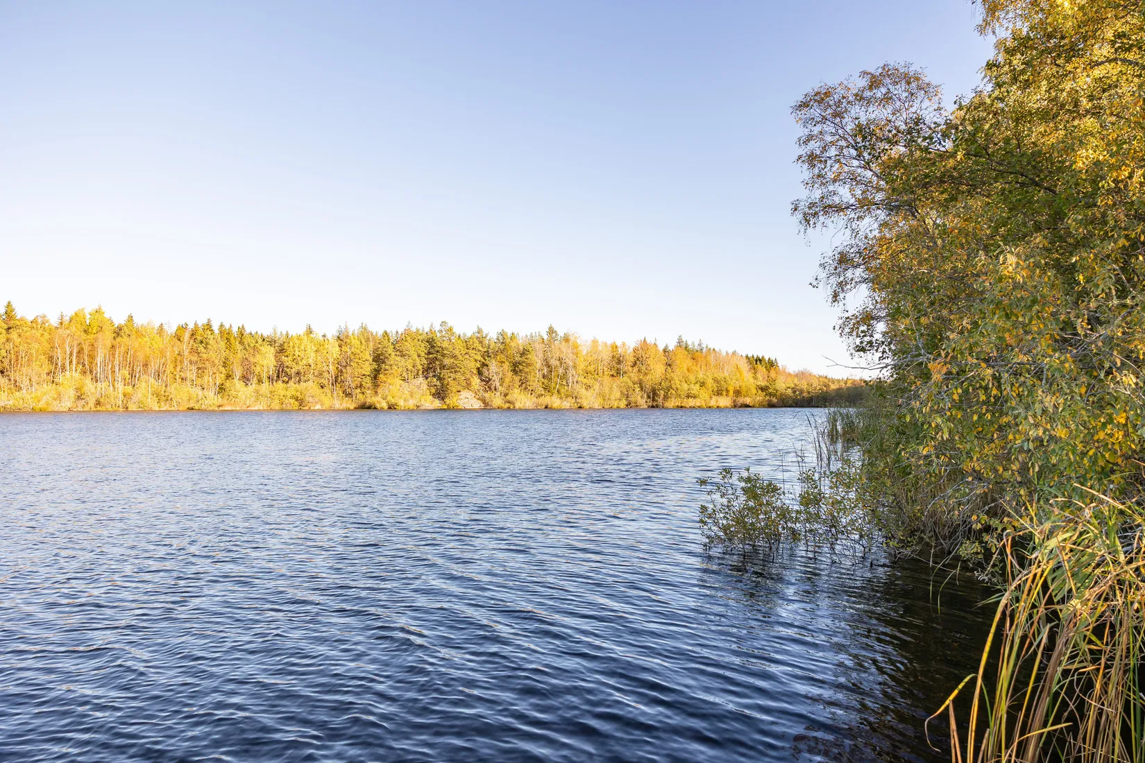 Gård/Skog, Tuskö 434, Söderön, Östhammar