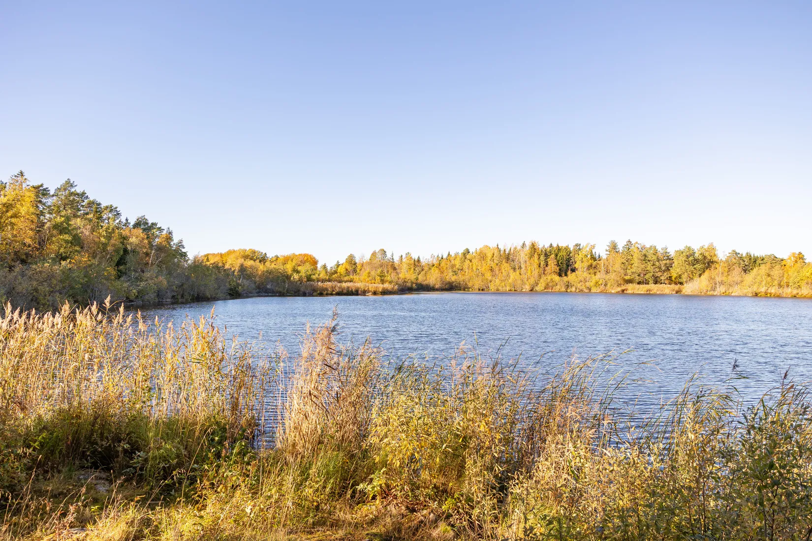 Gård/Skog, Tuskö 434, Söderön, Östhammar