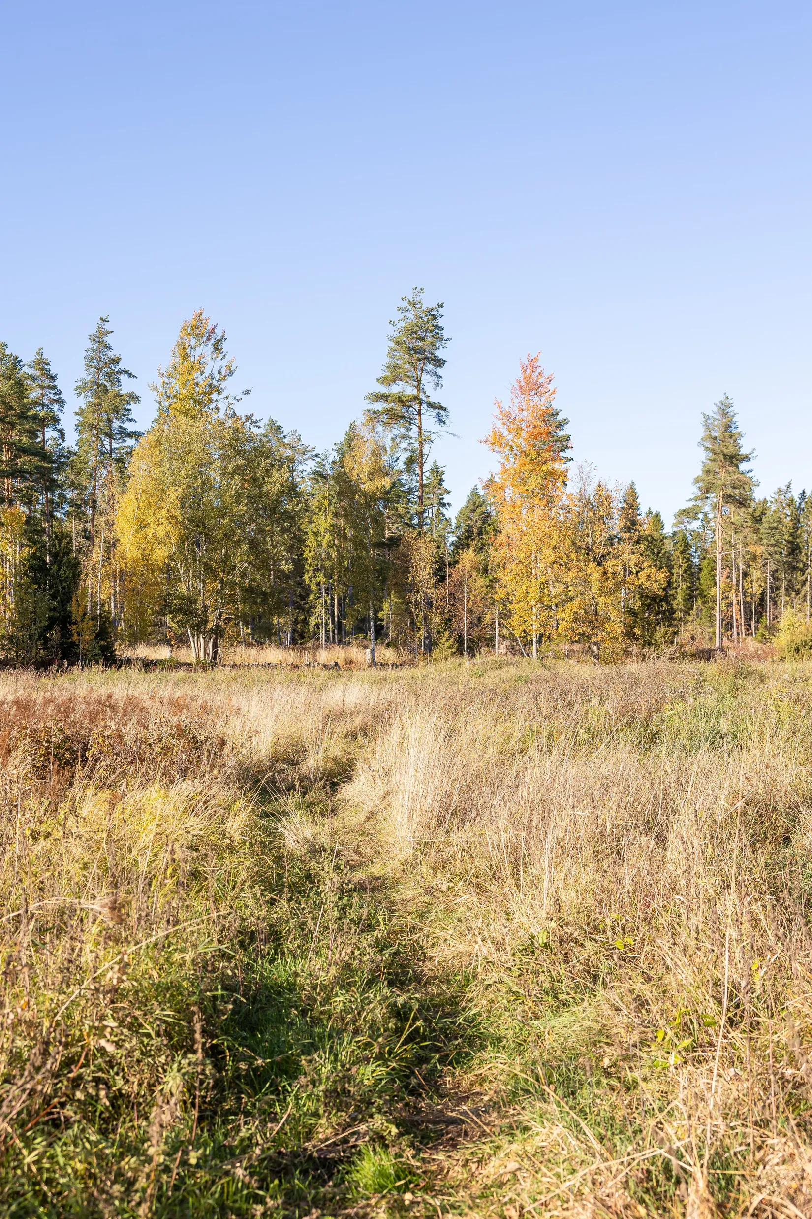 Gård/Skog, Tuskö 434, Söderön, Östhammar