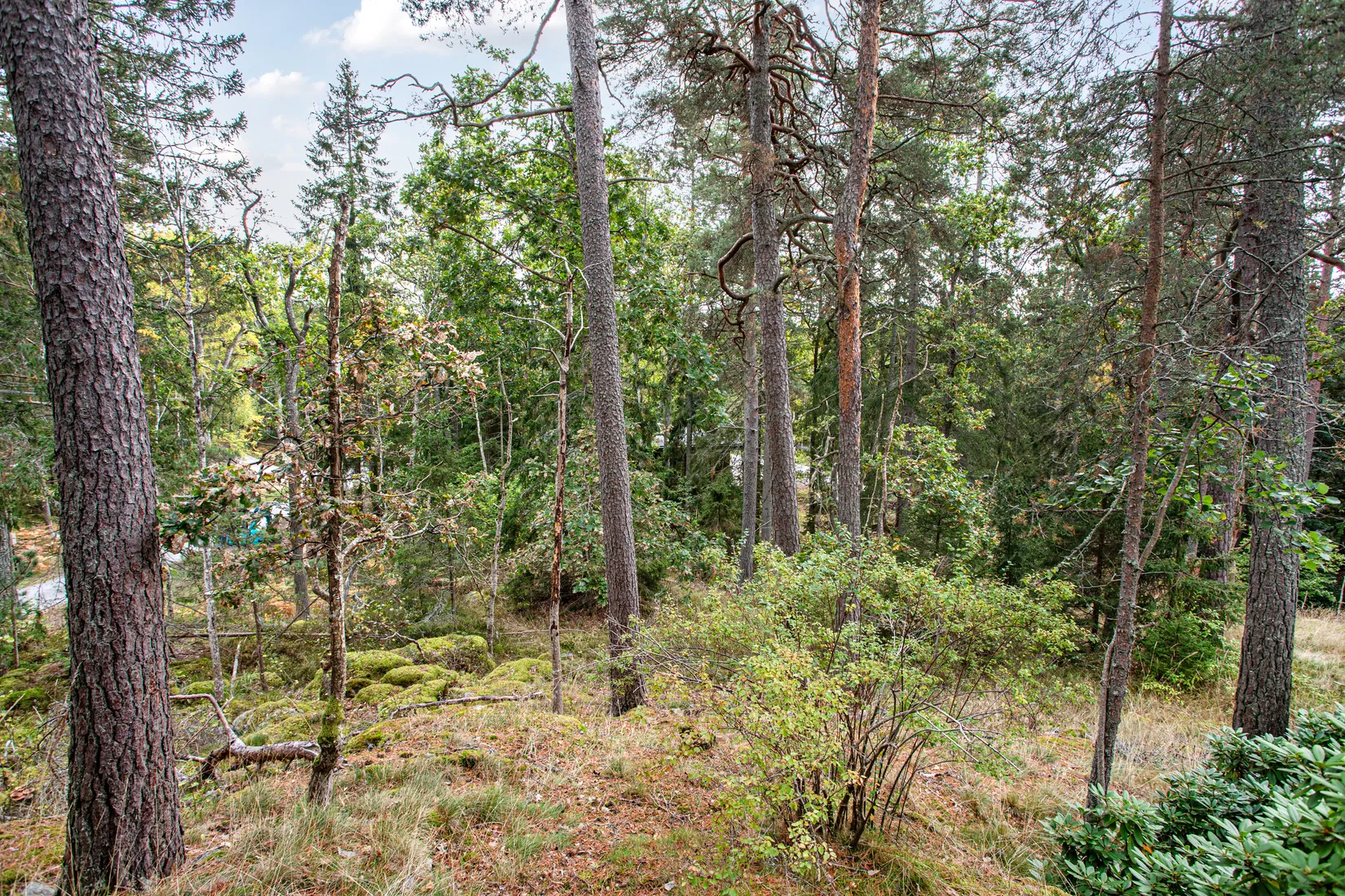 Tomt, Fiskmyrevägen 30, Värmdö