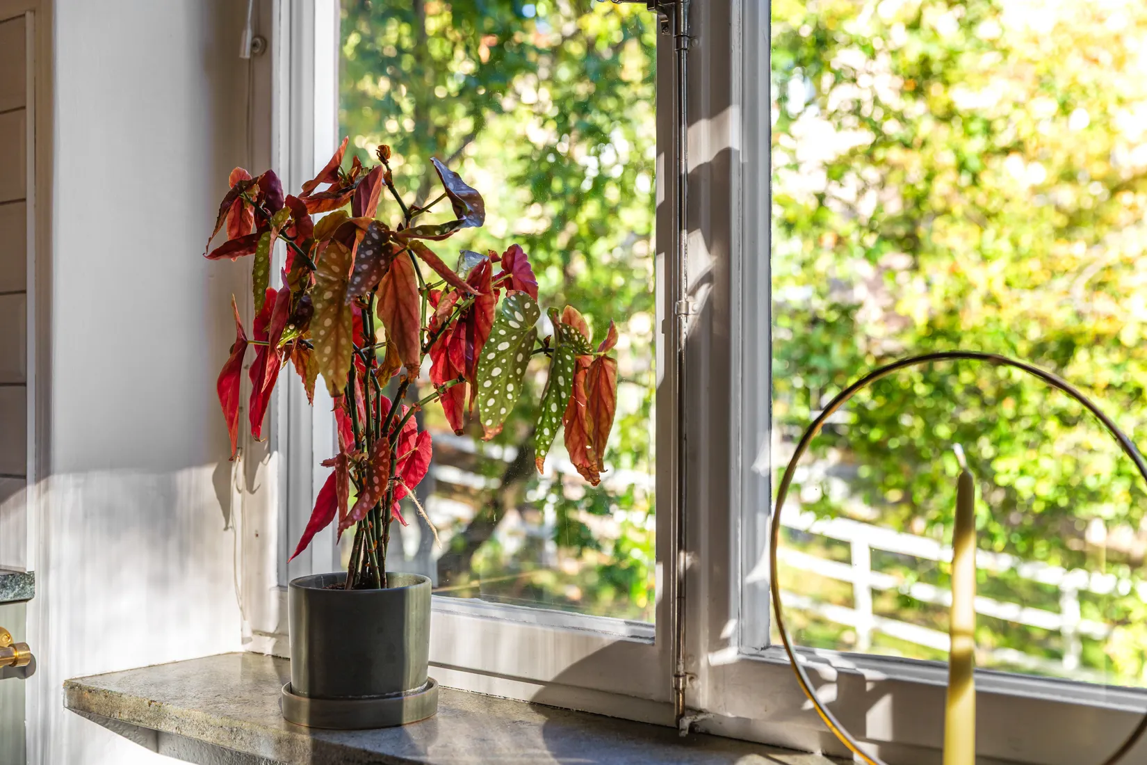 Bostadsrätt, Vänskapsvägen 36, Stora Essingen, Stockholm