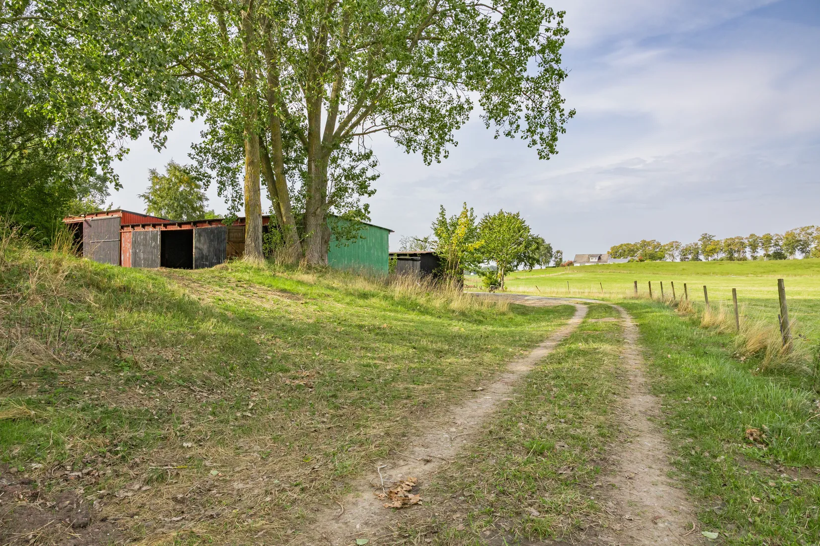 Gård/Skog, Kyrkvägen 58, Skurup