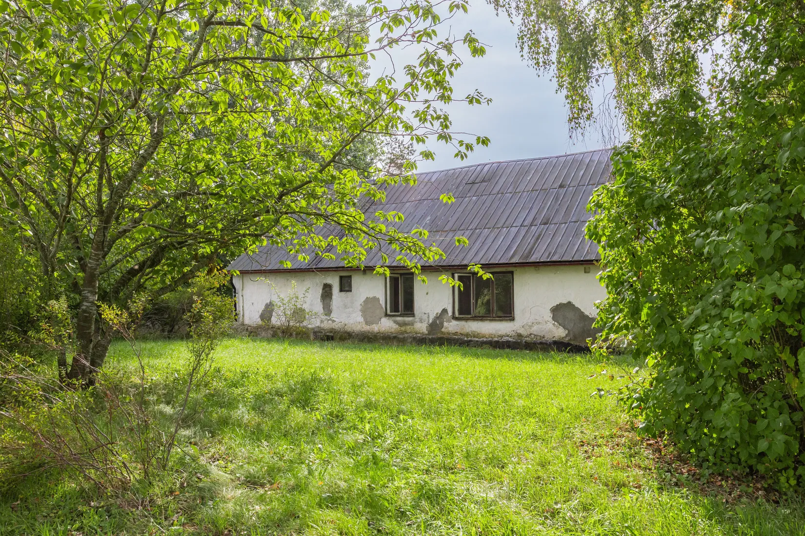 Gård/Skog, Kyrkvägen 58, Skurup