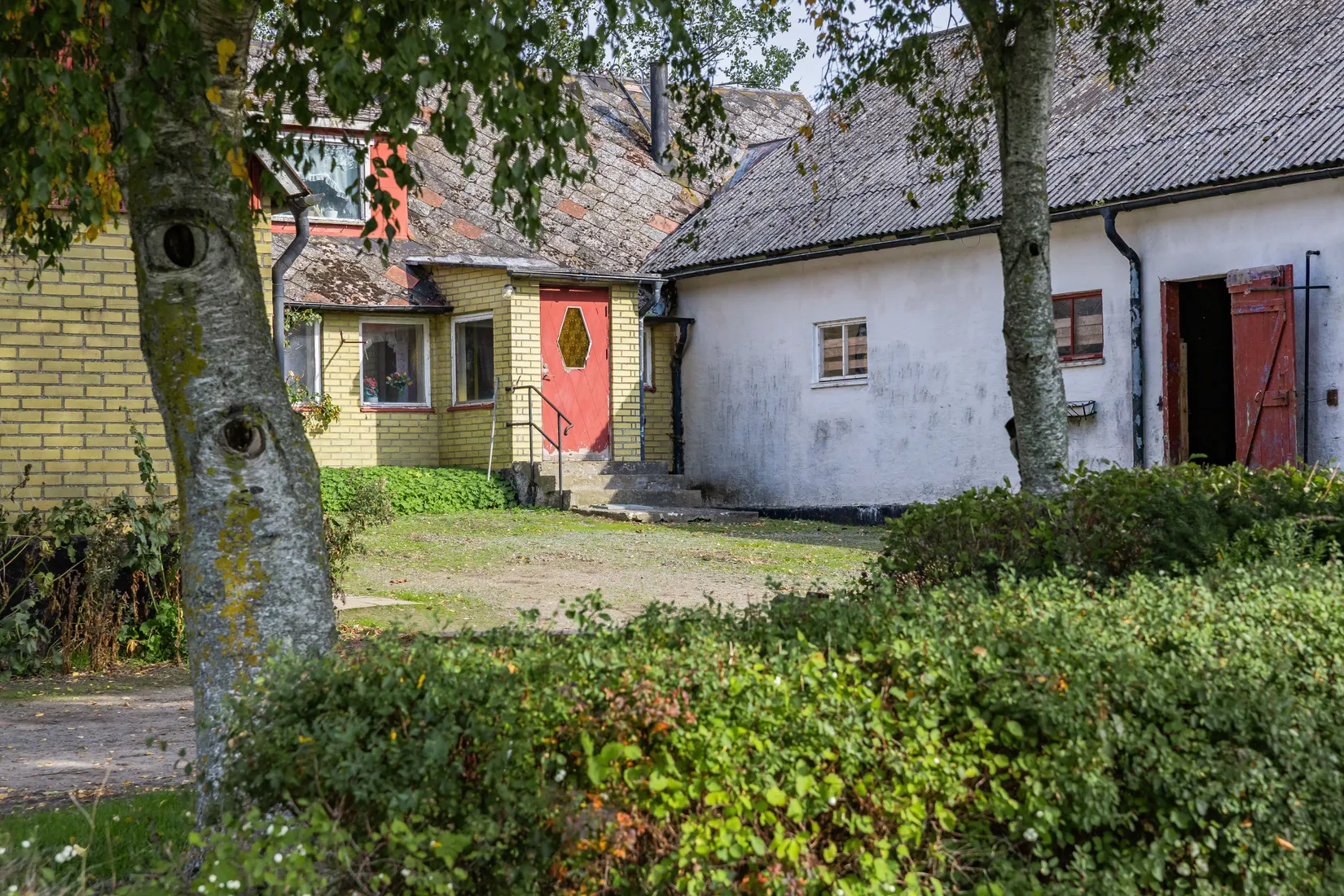 Gård/Skog, Kyrkvägen 58, Skurup