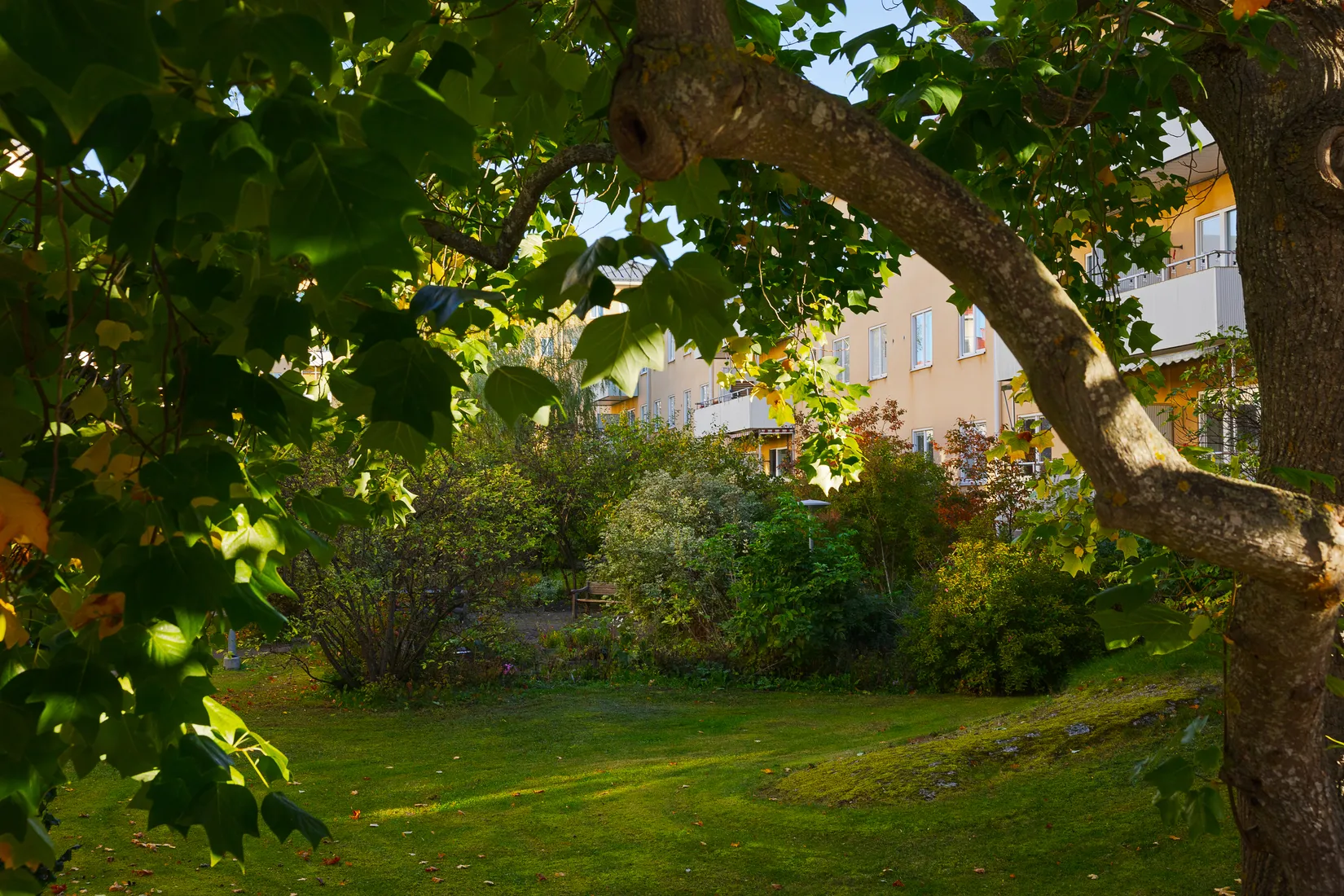 Bostadsrätt, Råggatan 12, Södermalm Maria, Stockholm