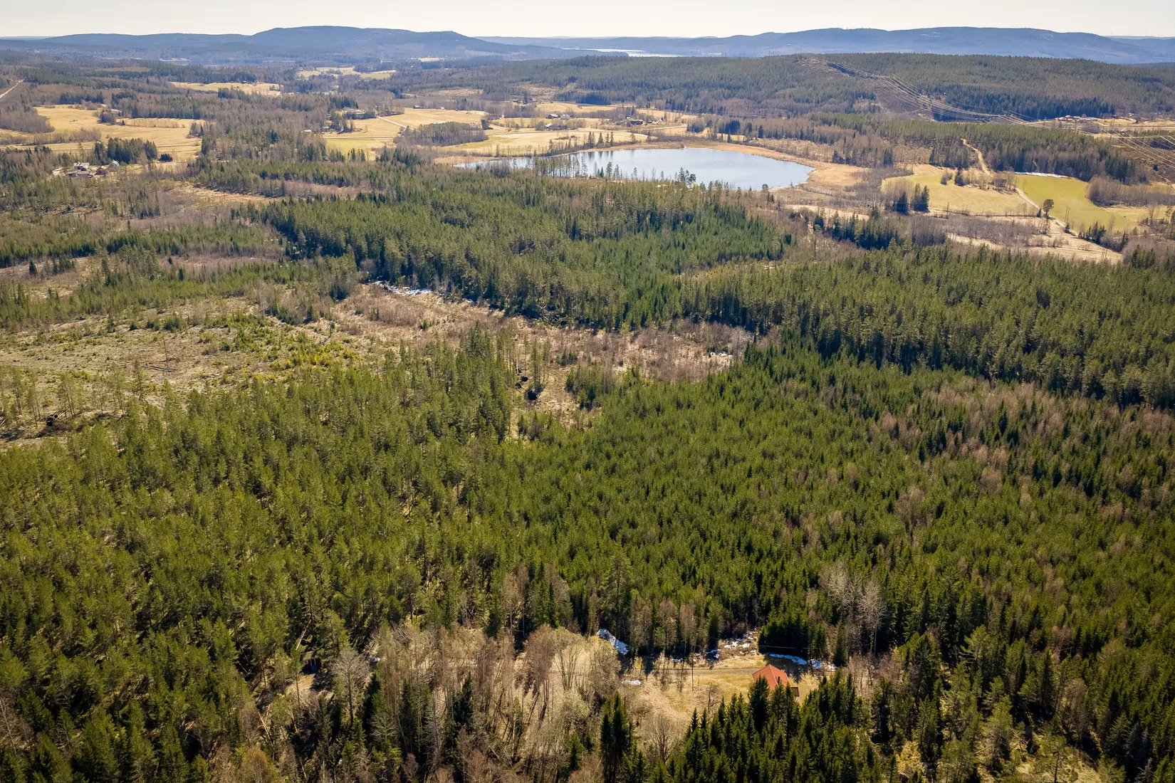 Gård/Skog, SÖDERHAMN NÄSET 4:1, Söderhamn