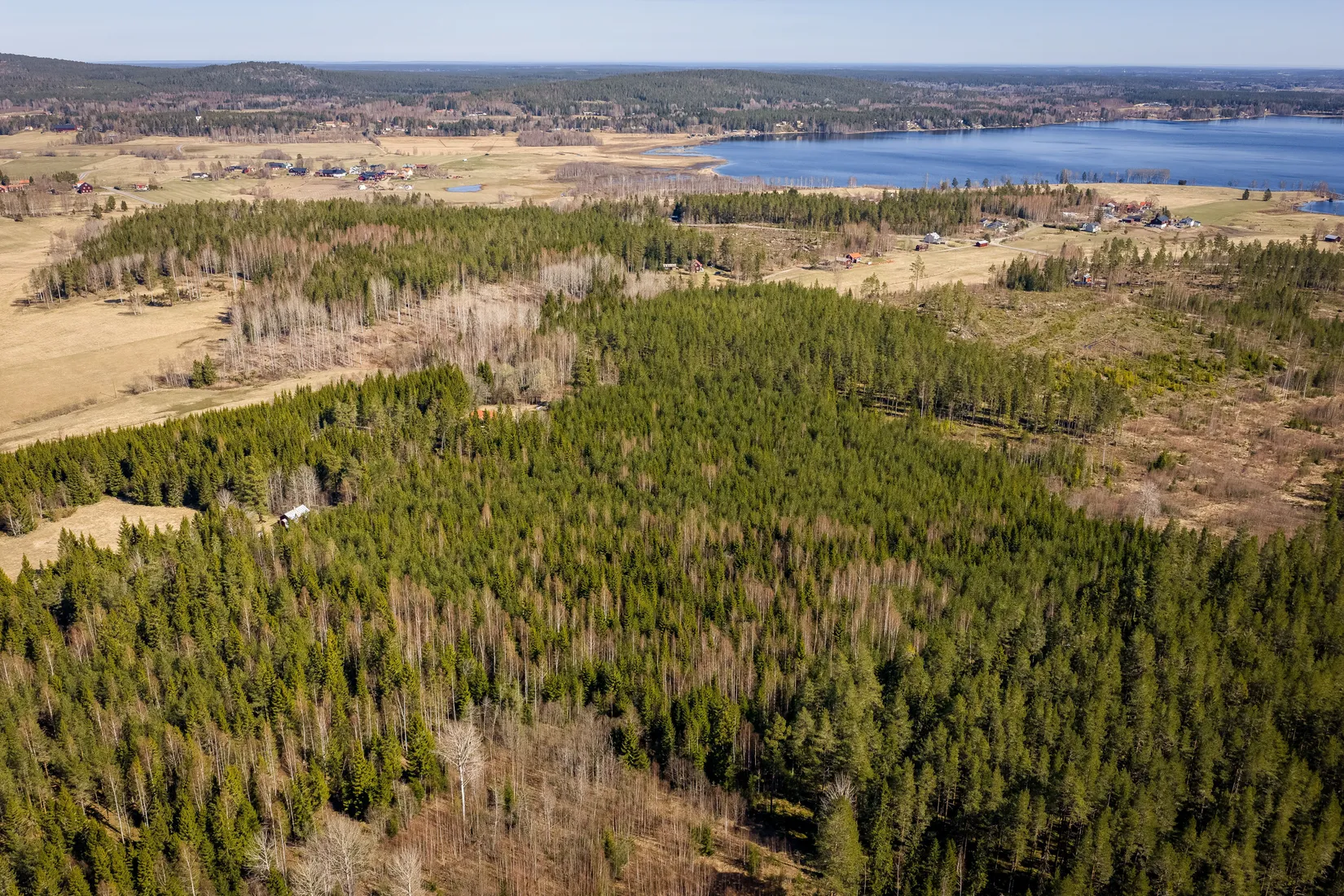 Gård/Skog, SÖDERHAMN NÄSET 4:1, Söderhamn