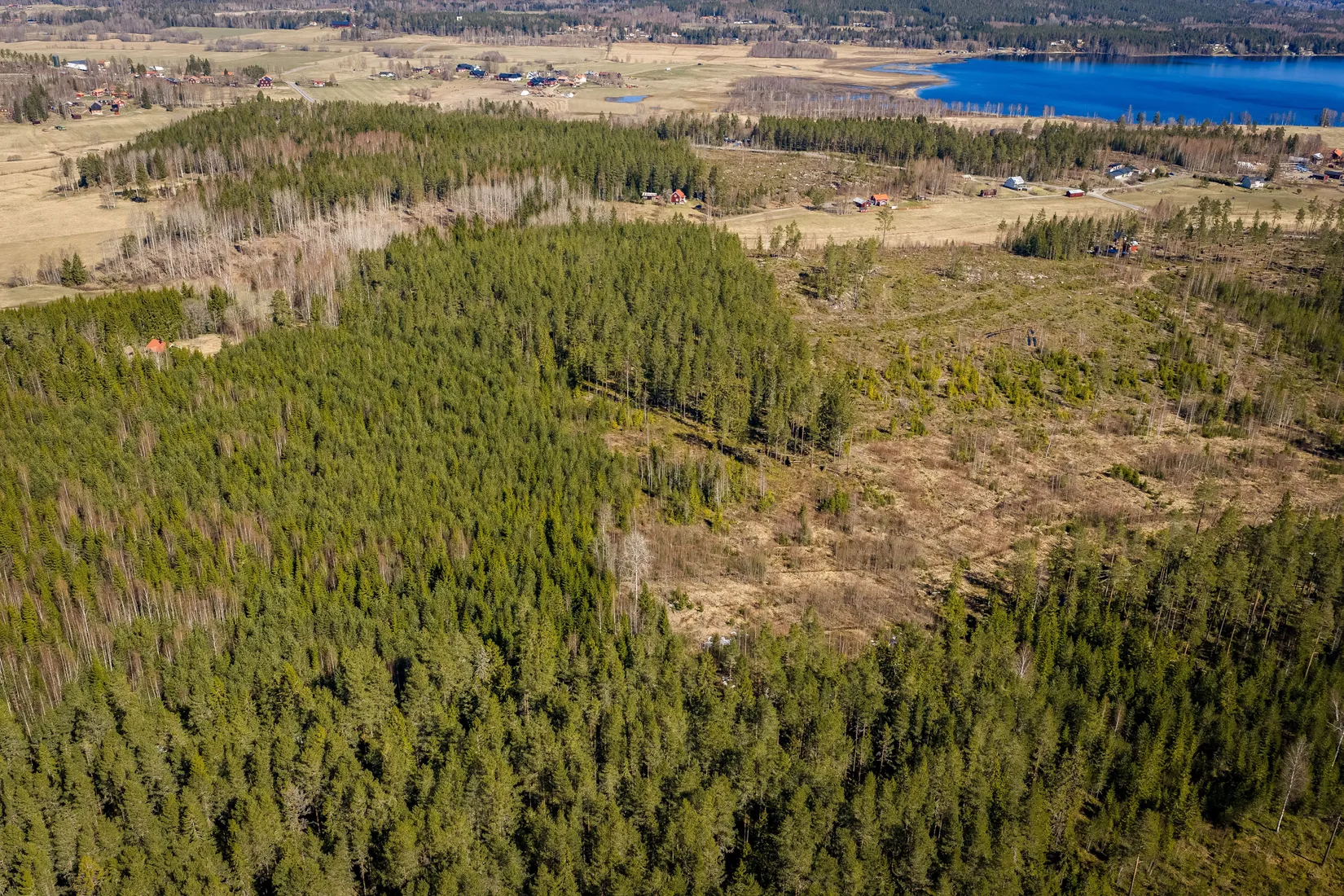 Gård/Skog, SÖDERHAMN NÄSET 4:1, Söderhamn