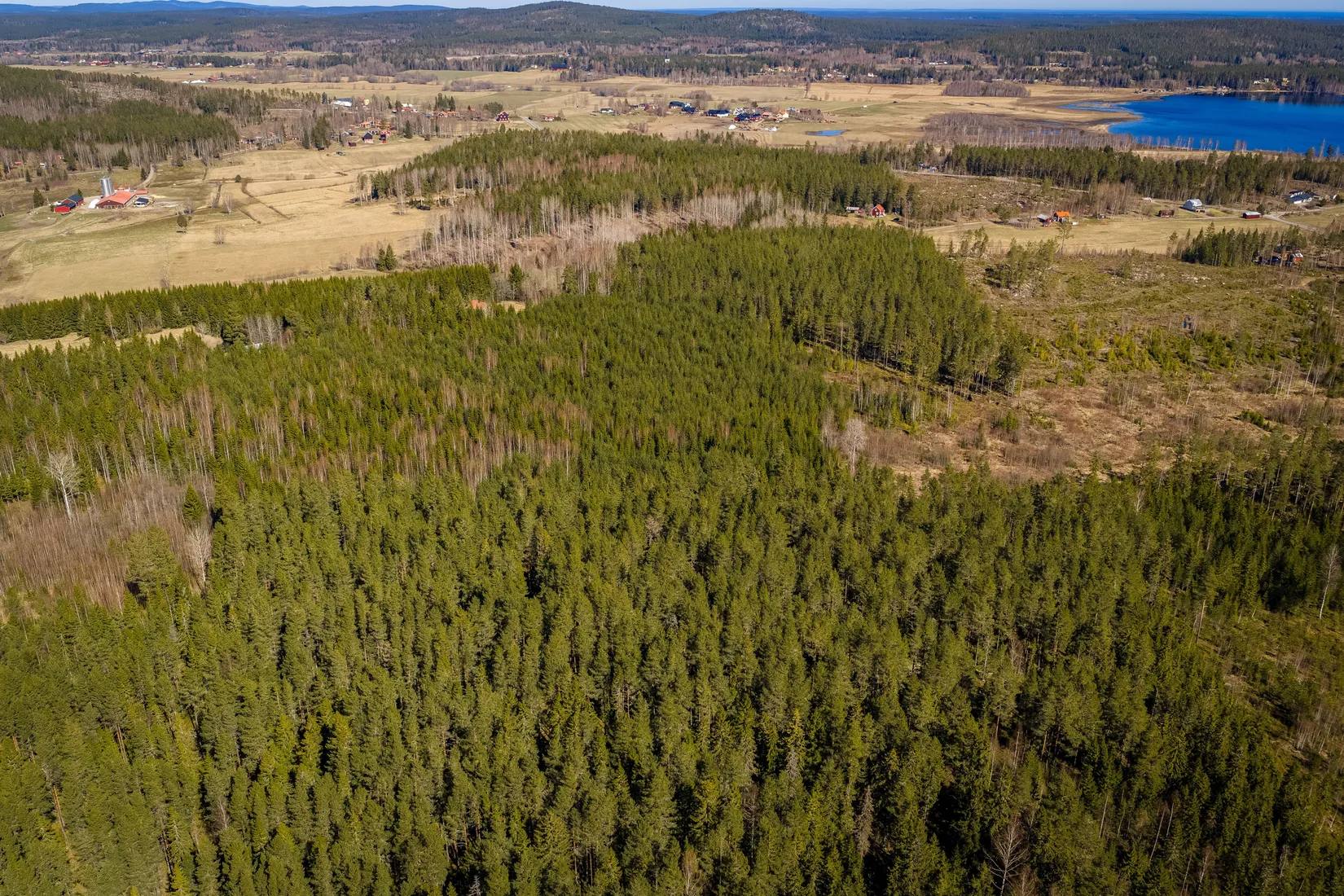 Gård/Skog, SÖDERHAMN NÄSET 4:1, Söderhamn