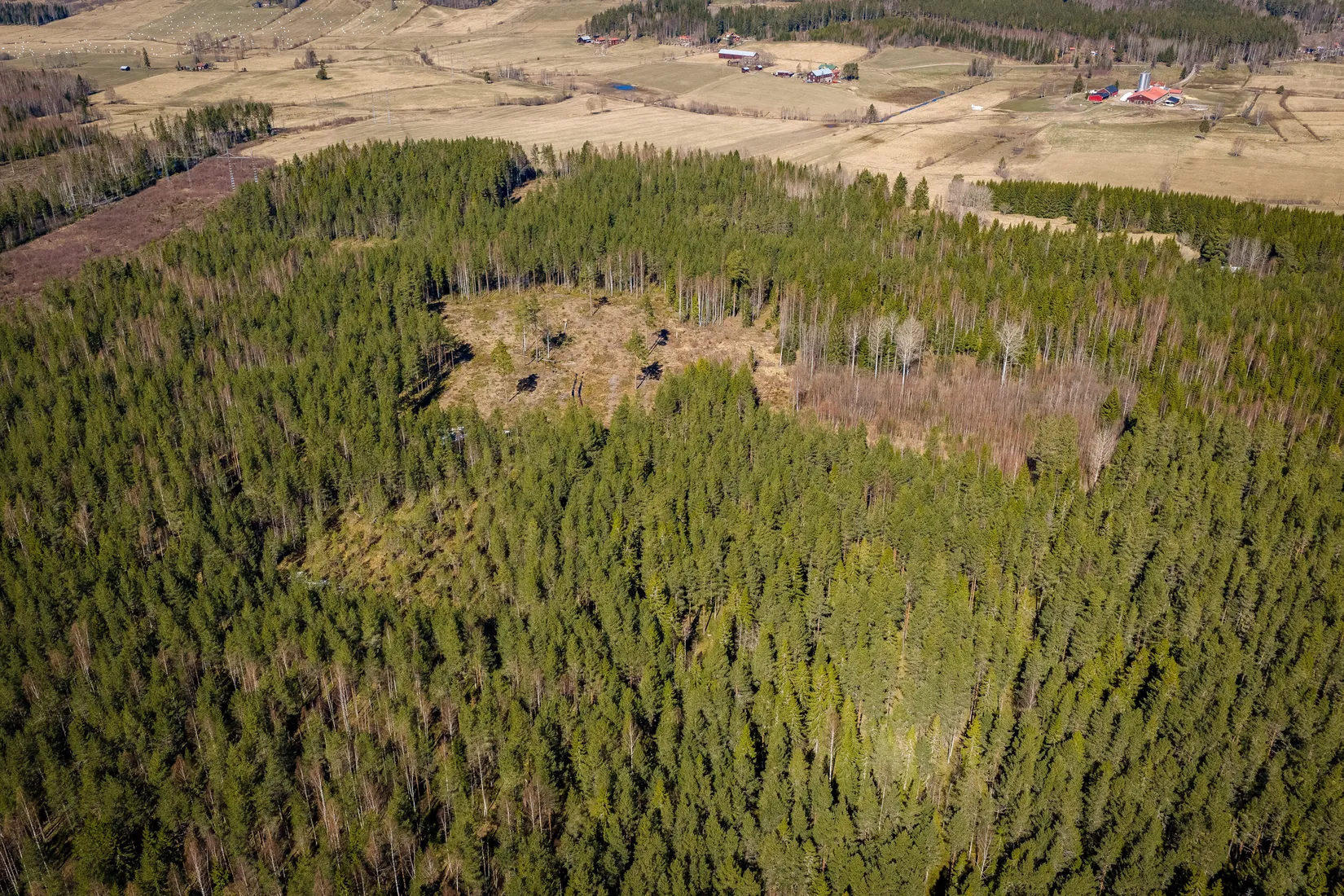 Gård/Skog, SÖDERHAMN NÄSET 4:1, Söderhamn