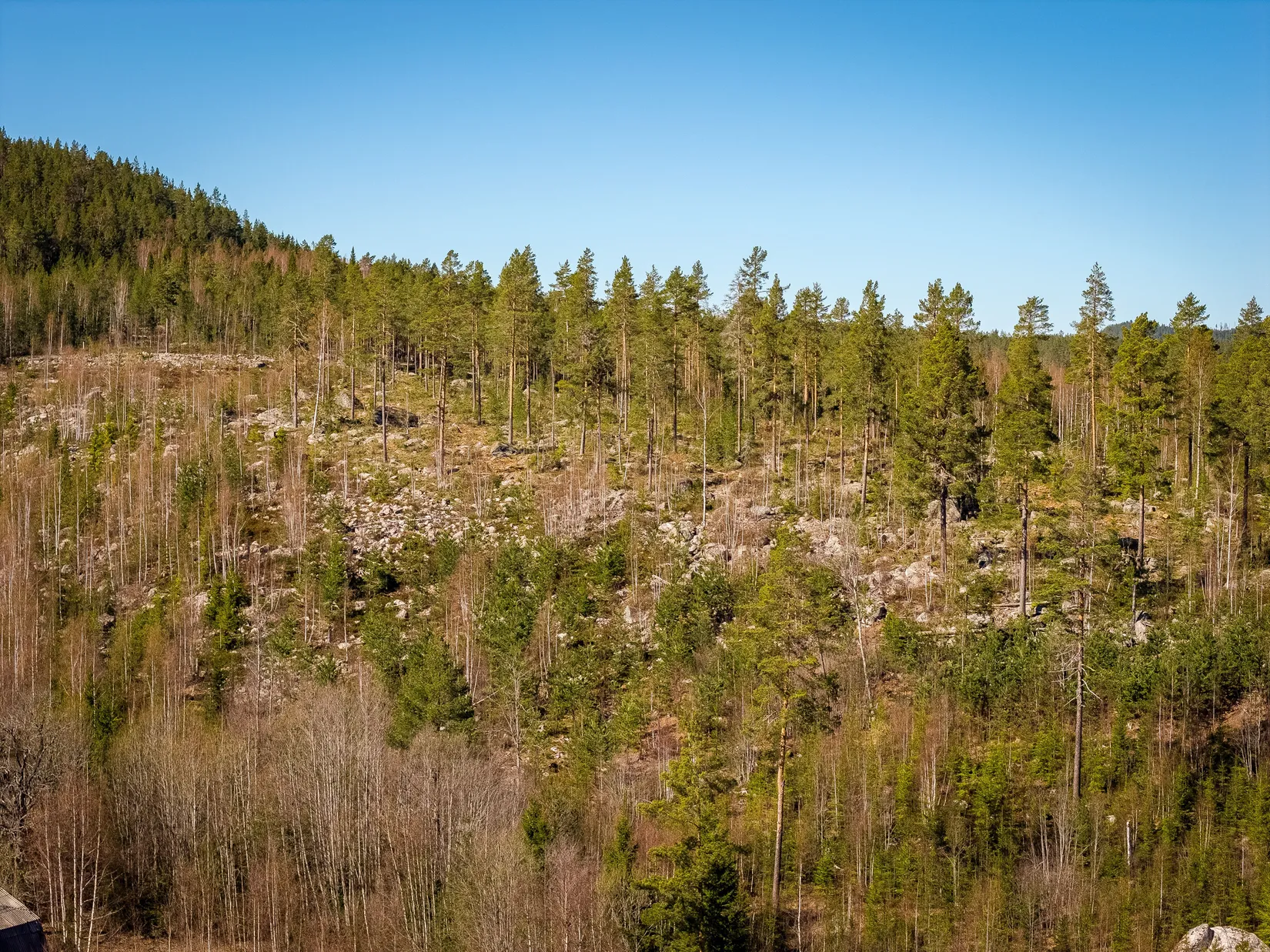 Gård/Skog, SÖDERHAMN NÄSET 4:1, Söderhamn