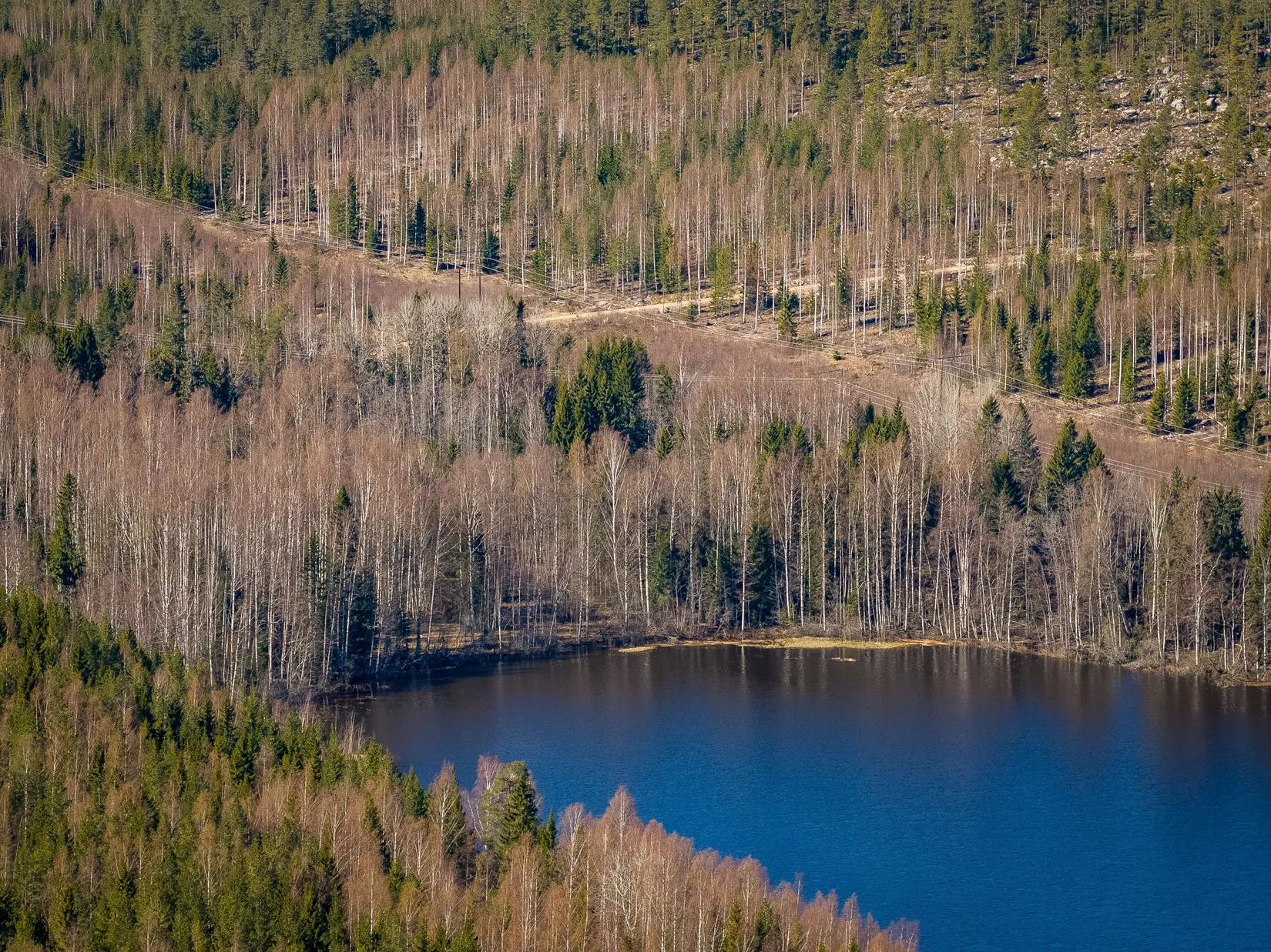 Gård/Skog, SÖDERHAMN NÄSET 4:1, Söderhamn
