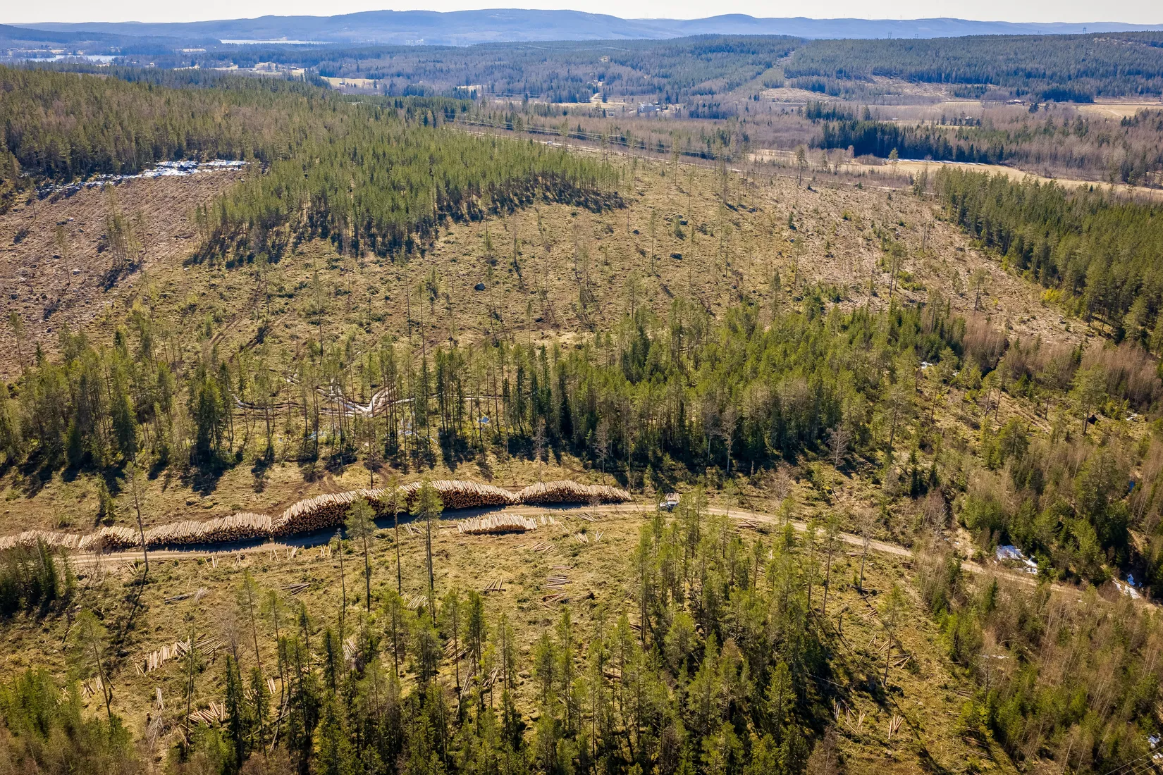 Gård/Skog, SÖDERHAMN NÄSET 4:1, Söderhamn