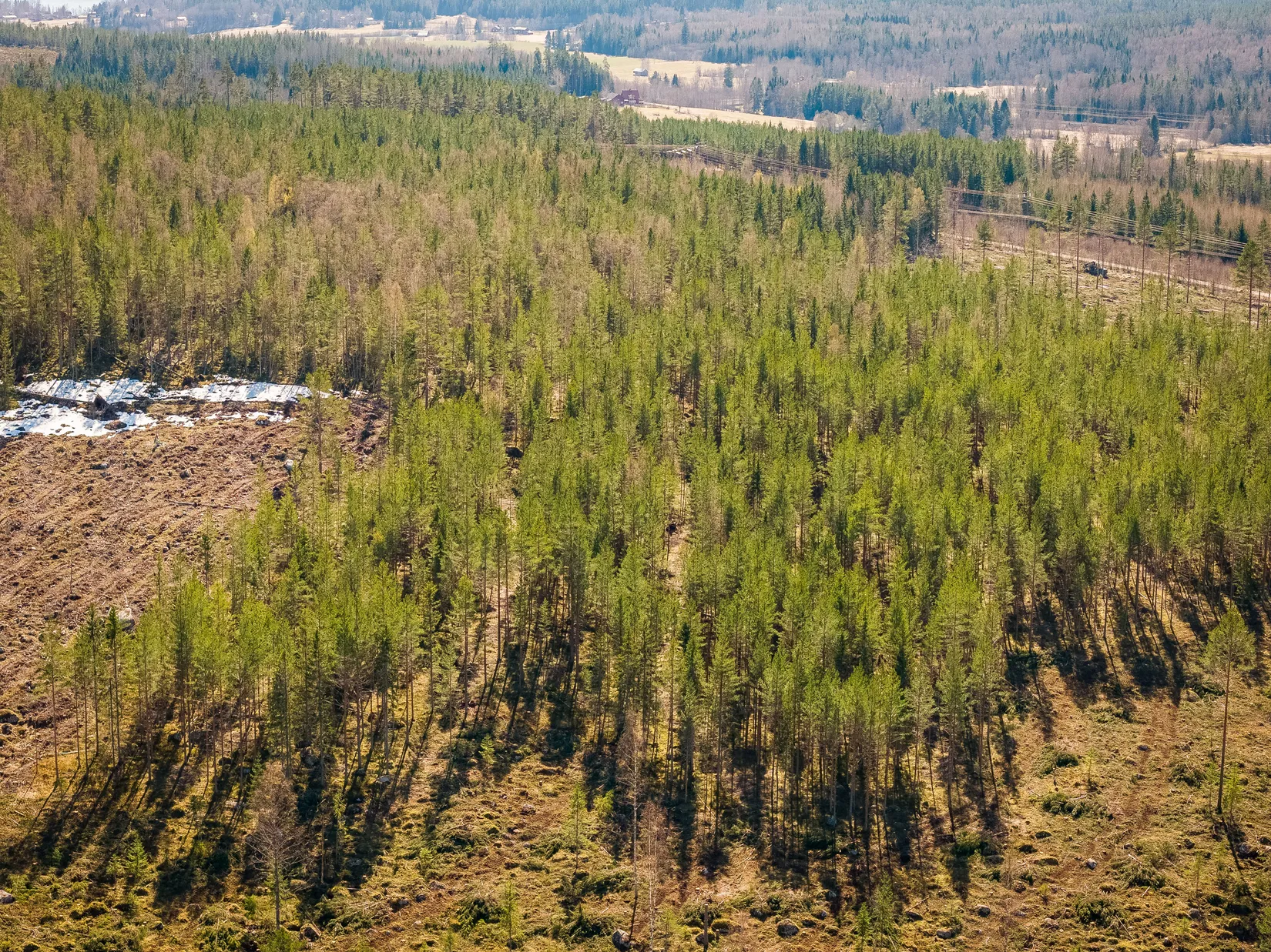 Gård/Skog, SÖDERHAMN NÄSET 4:1, Söderhamn