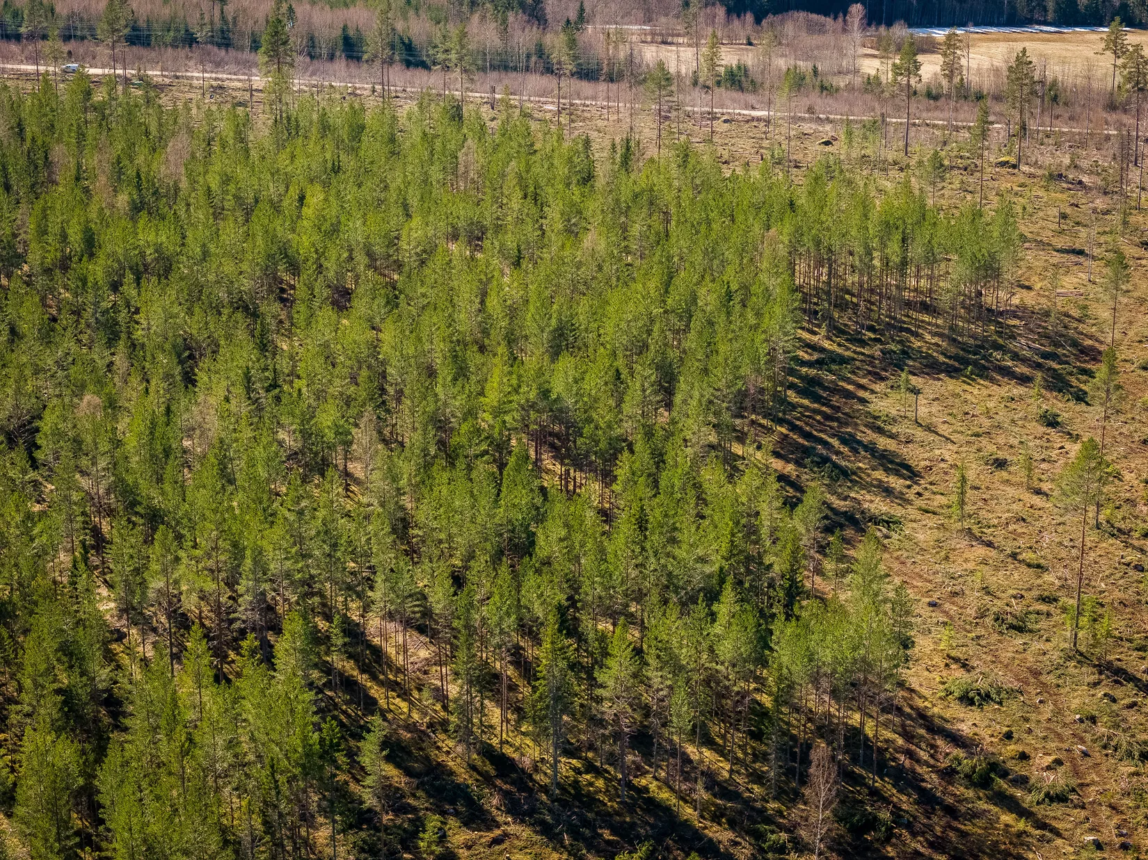 Gård/Skog, SÖDERHAMN NÄSET 4:1, Söderhamn