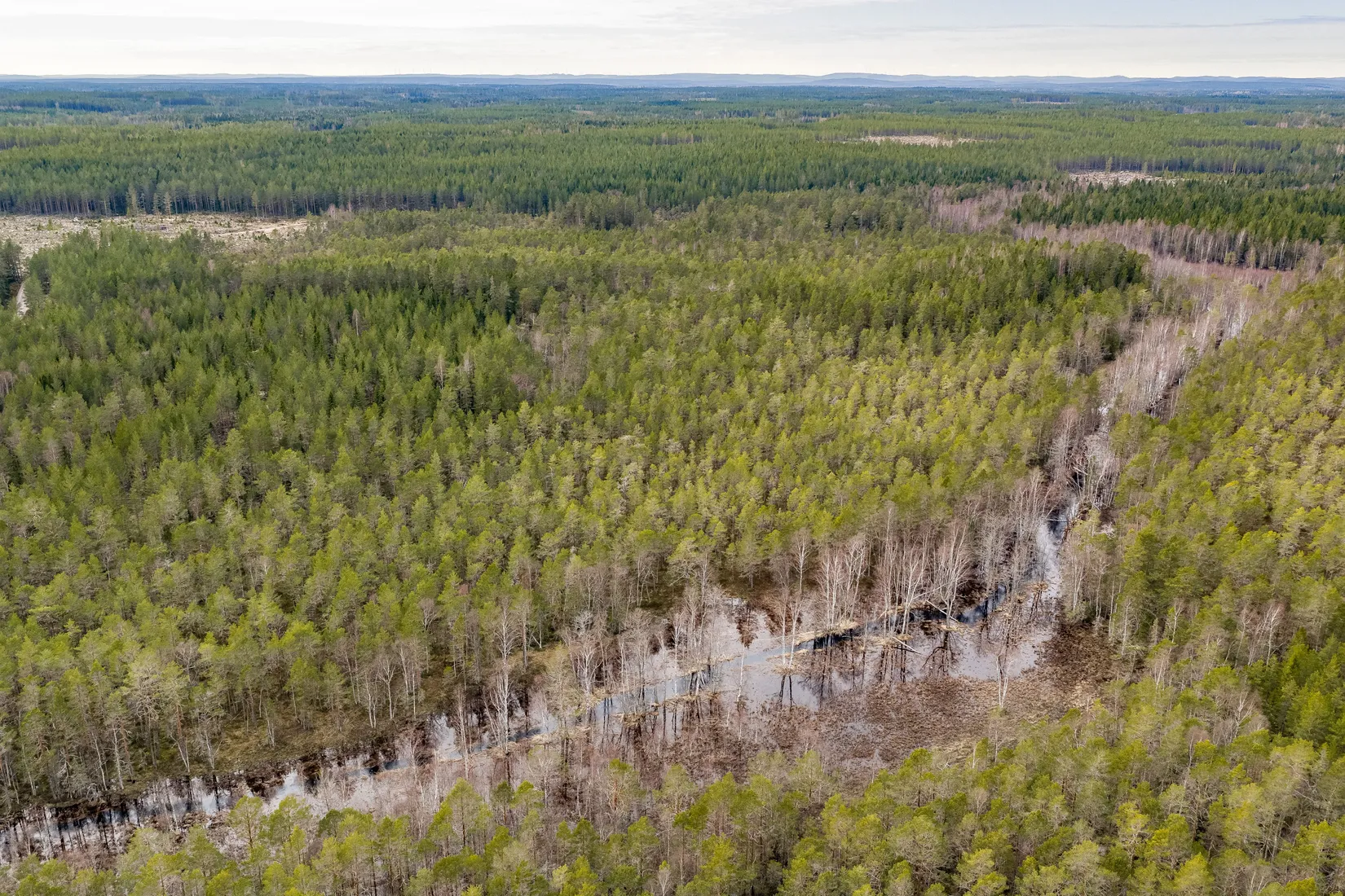 Gård/Skog, SÖDERHAMN NORRBO 2:16, Söderhamn