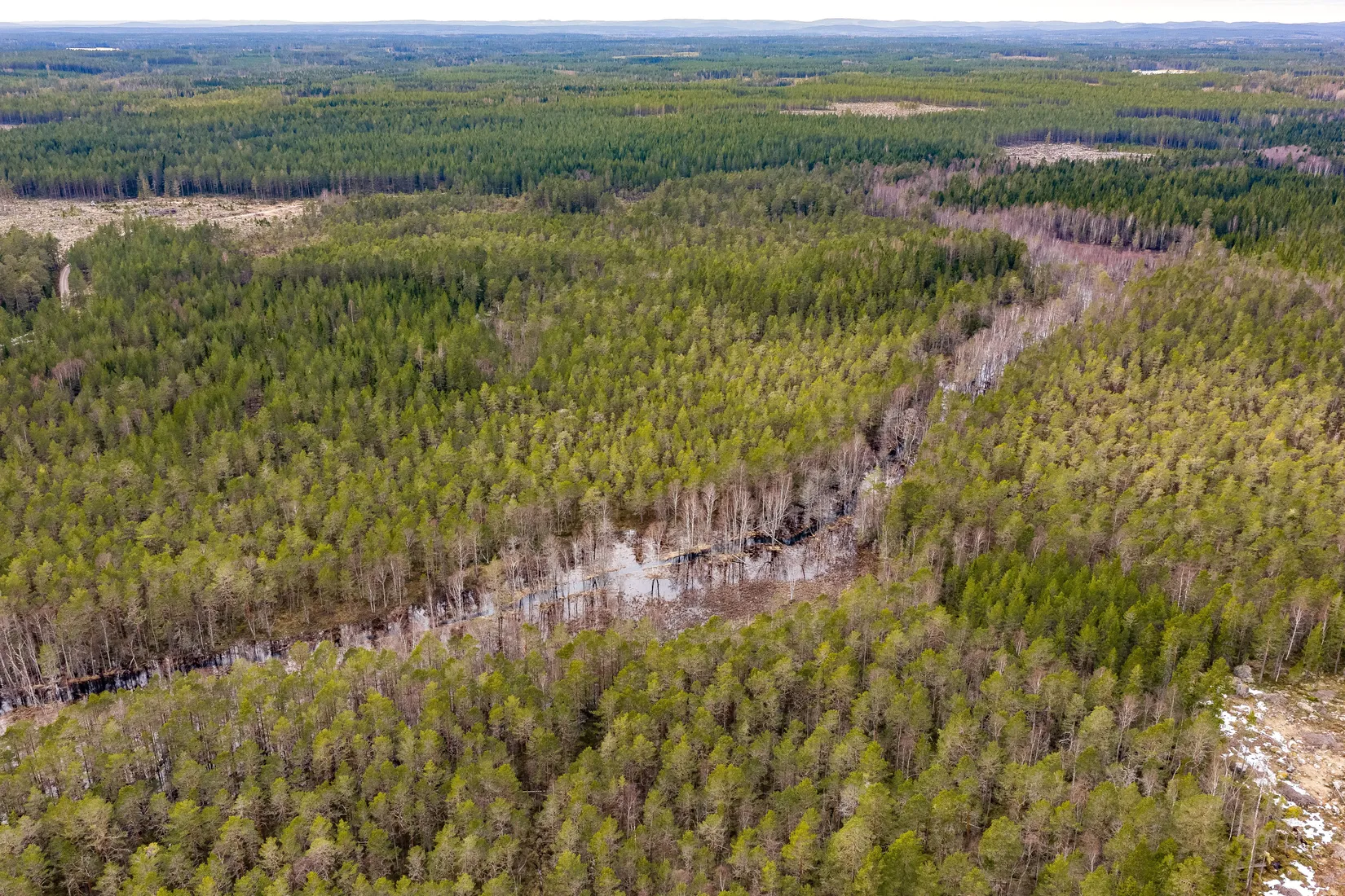 Gård/Skog, SÖDERHAMN NORRBO 2:16, Söderhamn
