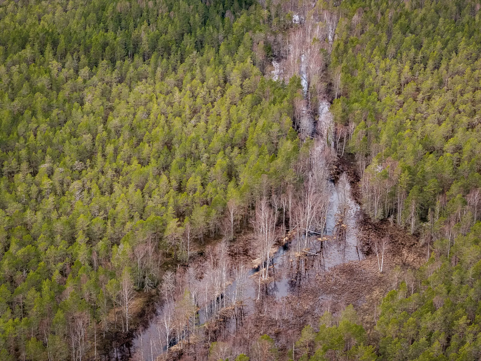 Gård/Skog, SÖDERHAMN NORRBO 2:16, Söderhamn