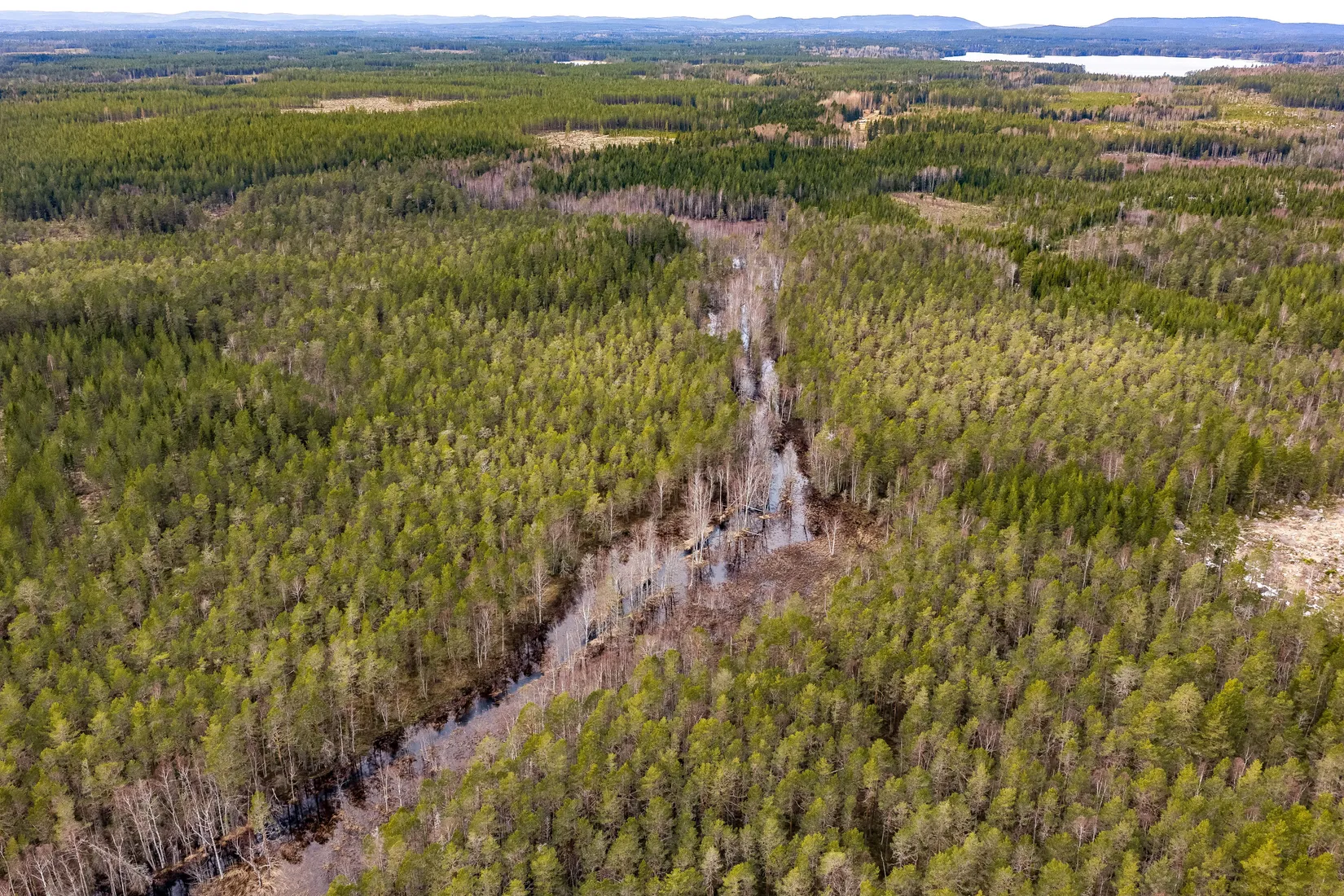 Gård/Skog, SÖDERHAMN NORRBO 2:16, Söderhamn