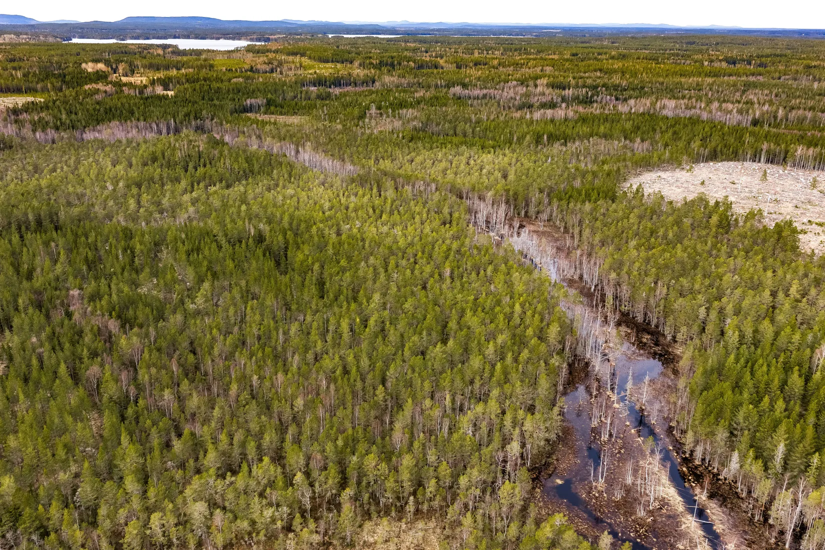 Gård/Skog, SÖDERHAMN NORRBO 2:16, Söderhamn